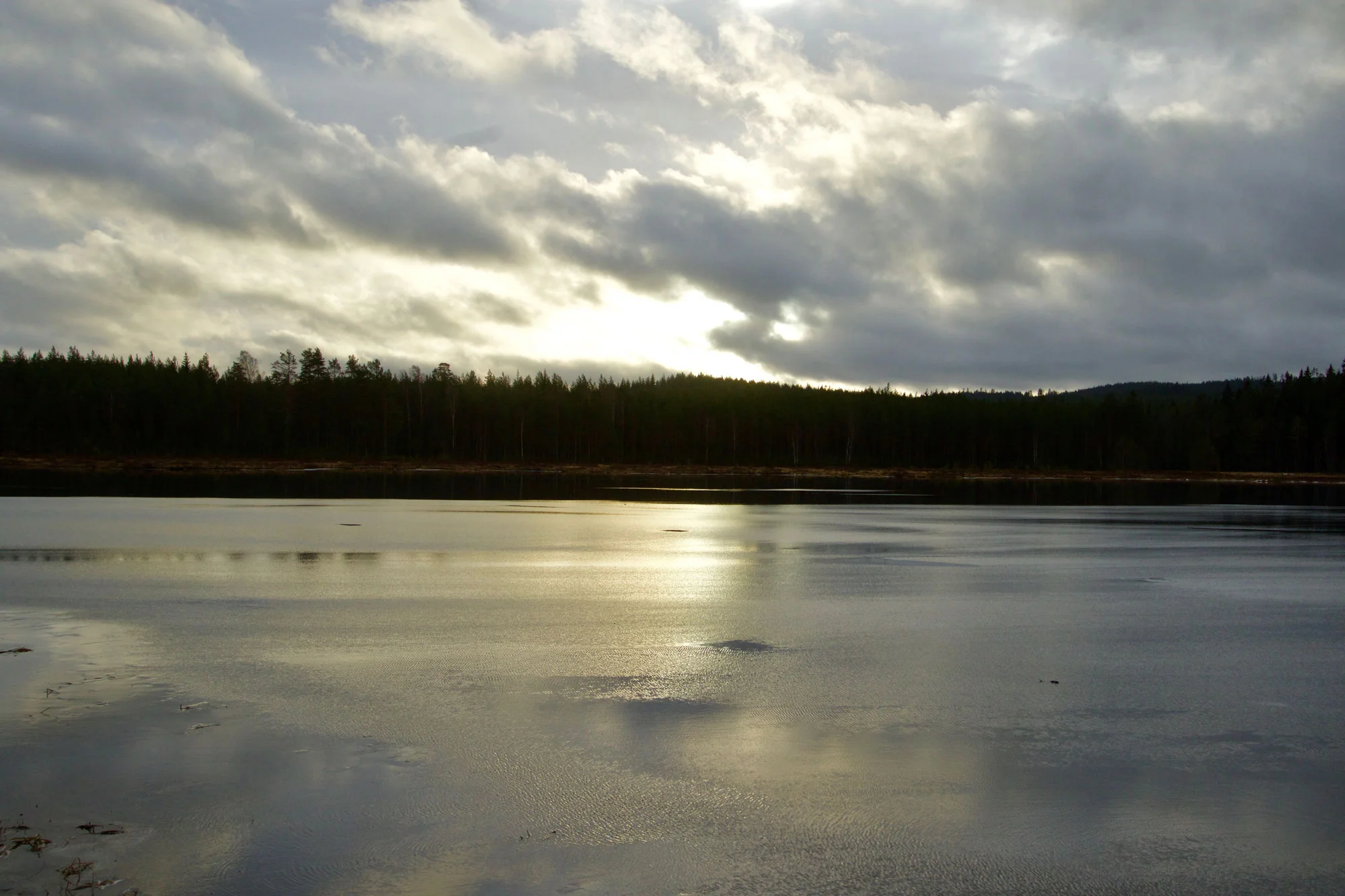 1U7A3650-2.jpg