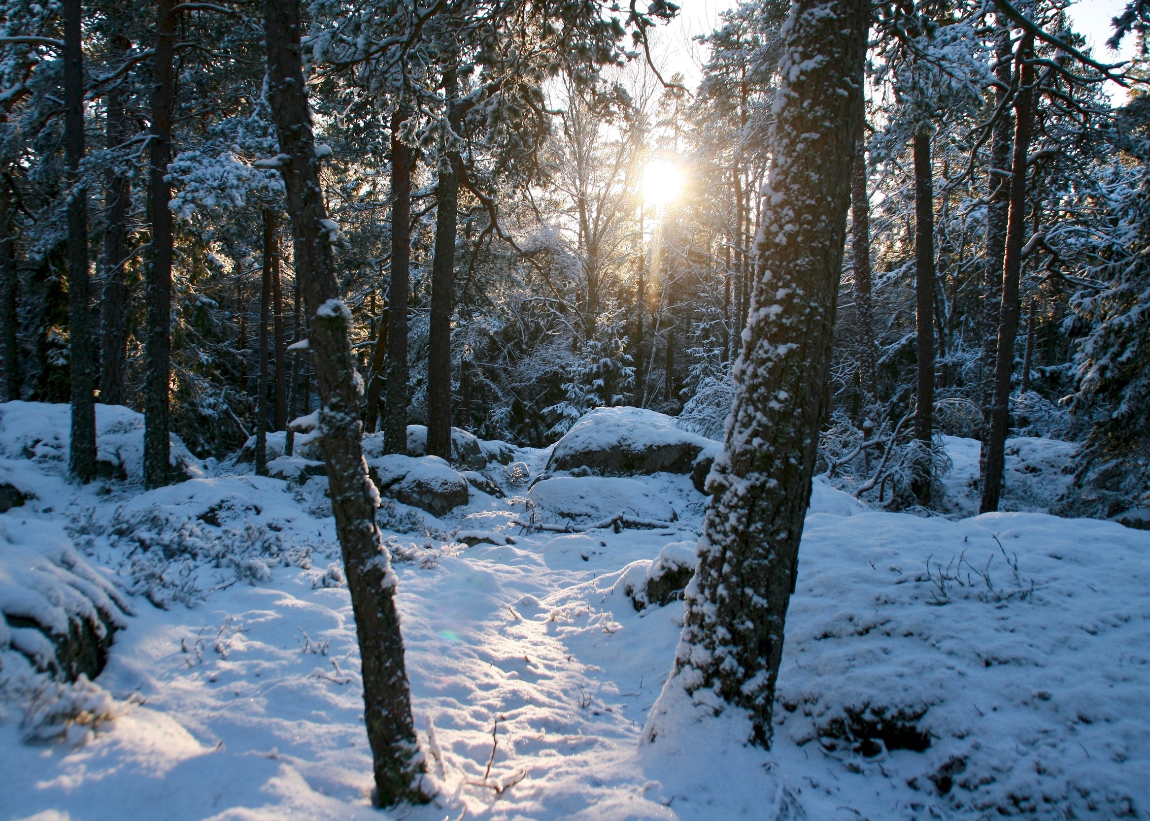 stockholm winter hike.jpg