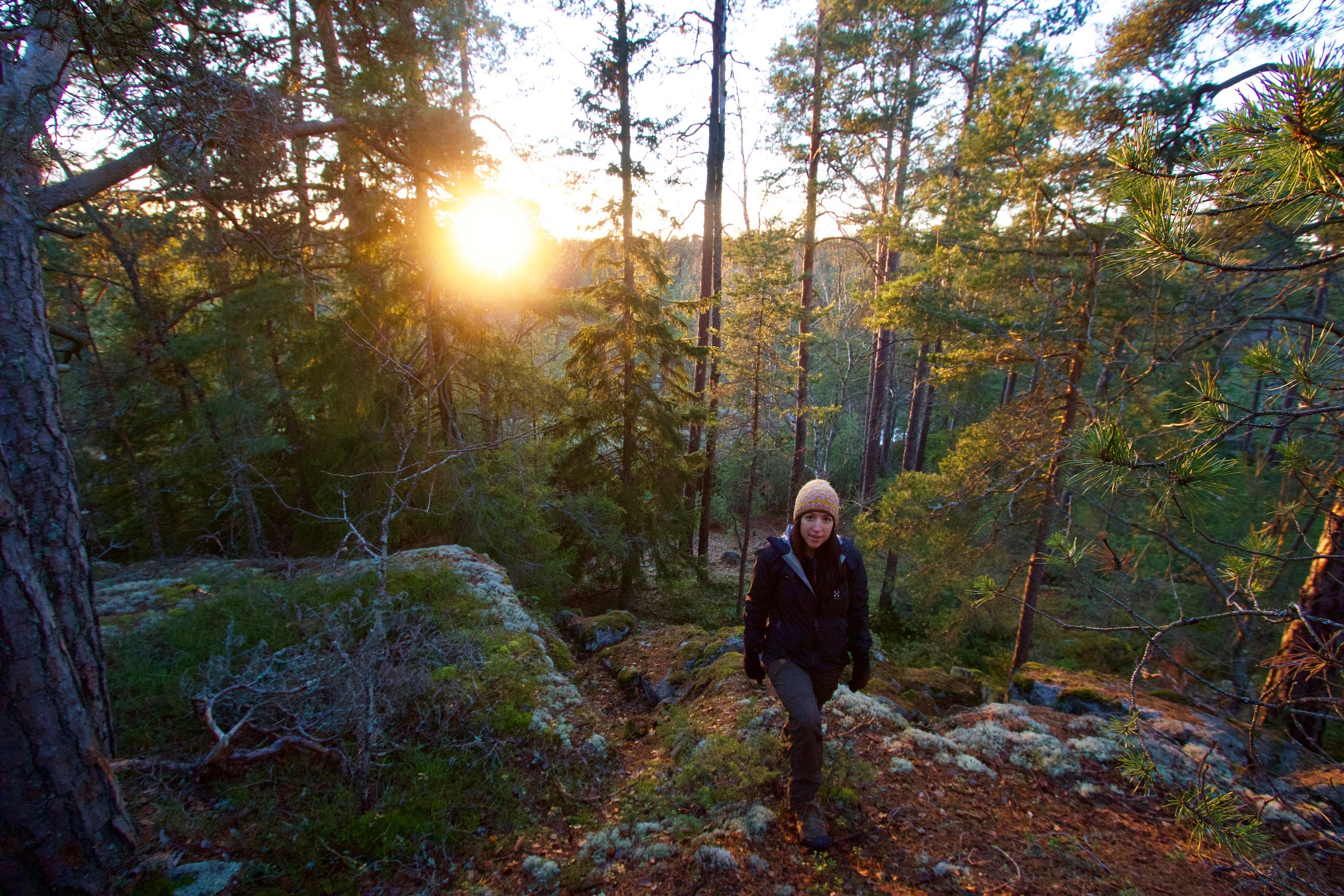 Vandringsturer och camping i Stockholm med guide