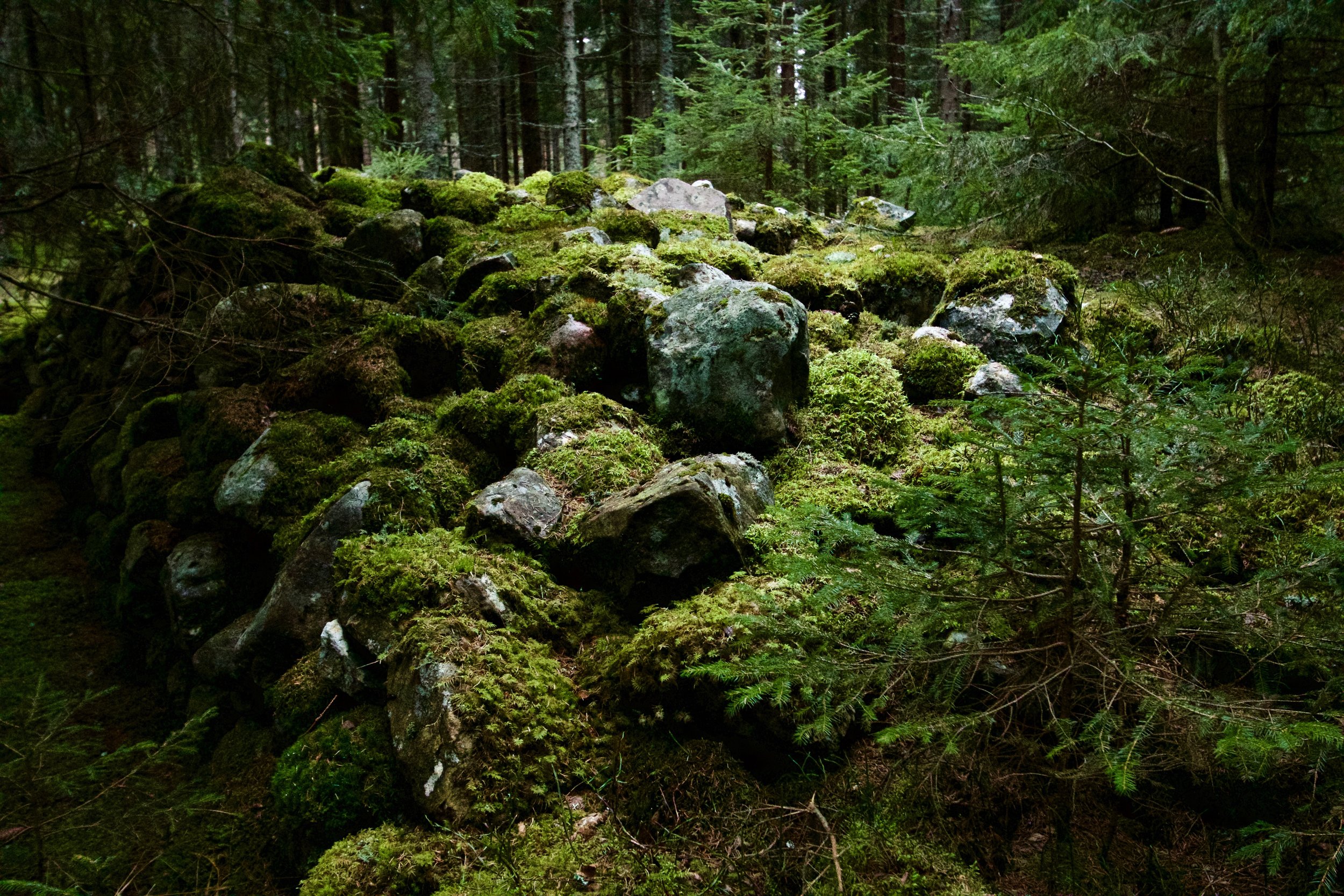 Naturen runt Stockholm