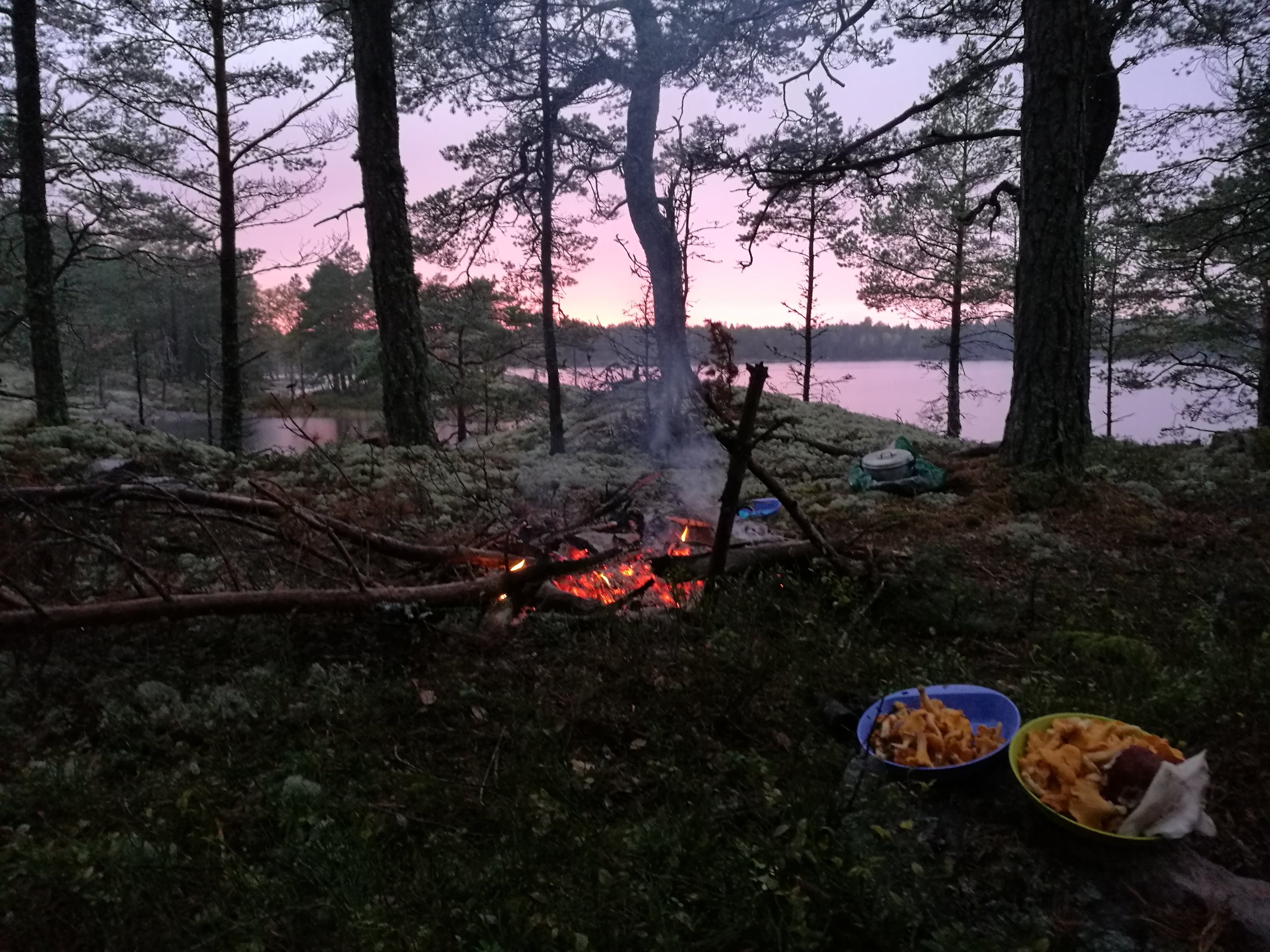 national park stockholm