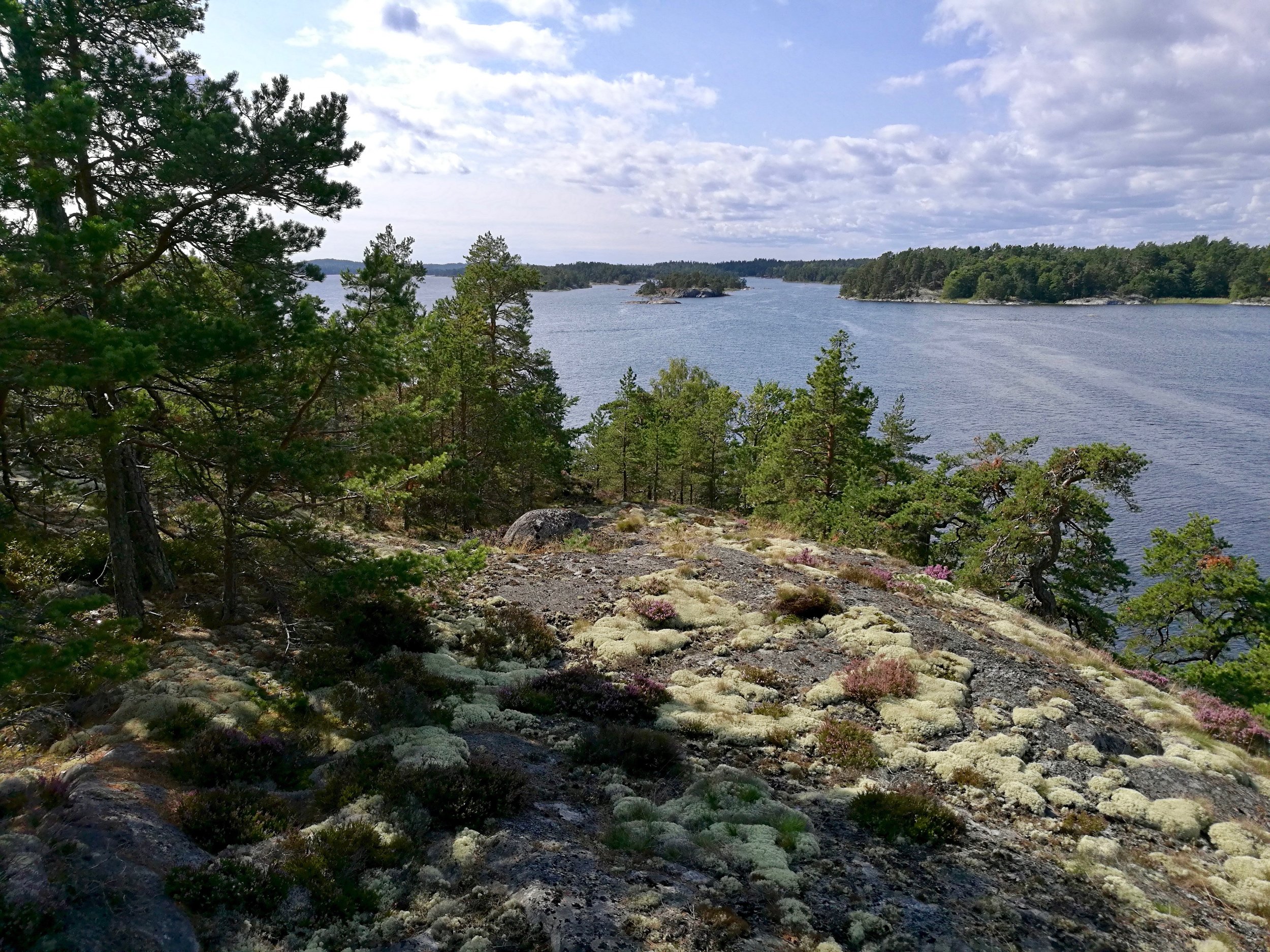  Stockholms skärgård Kajakpaddling 1 dag 9