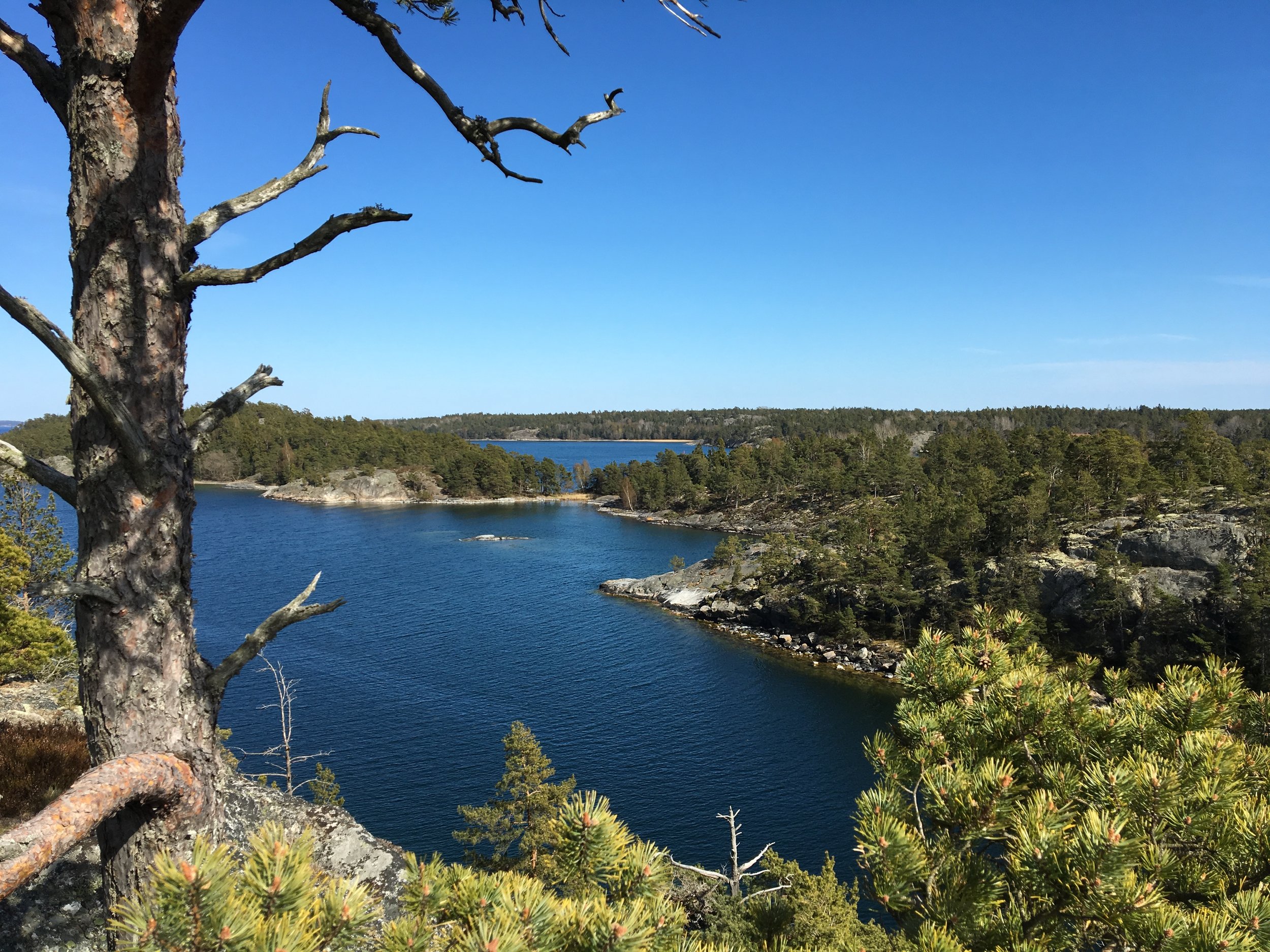  Visites guidées de l'archipel de Stockholm en kayak 3 jours 3