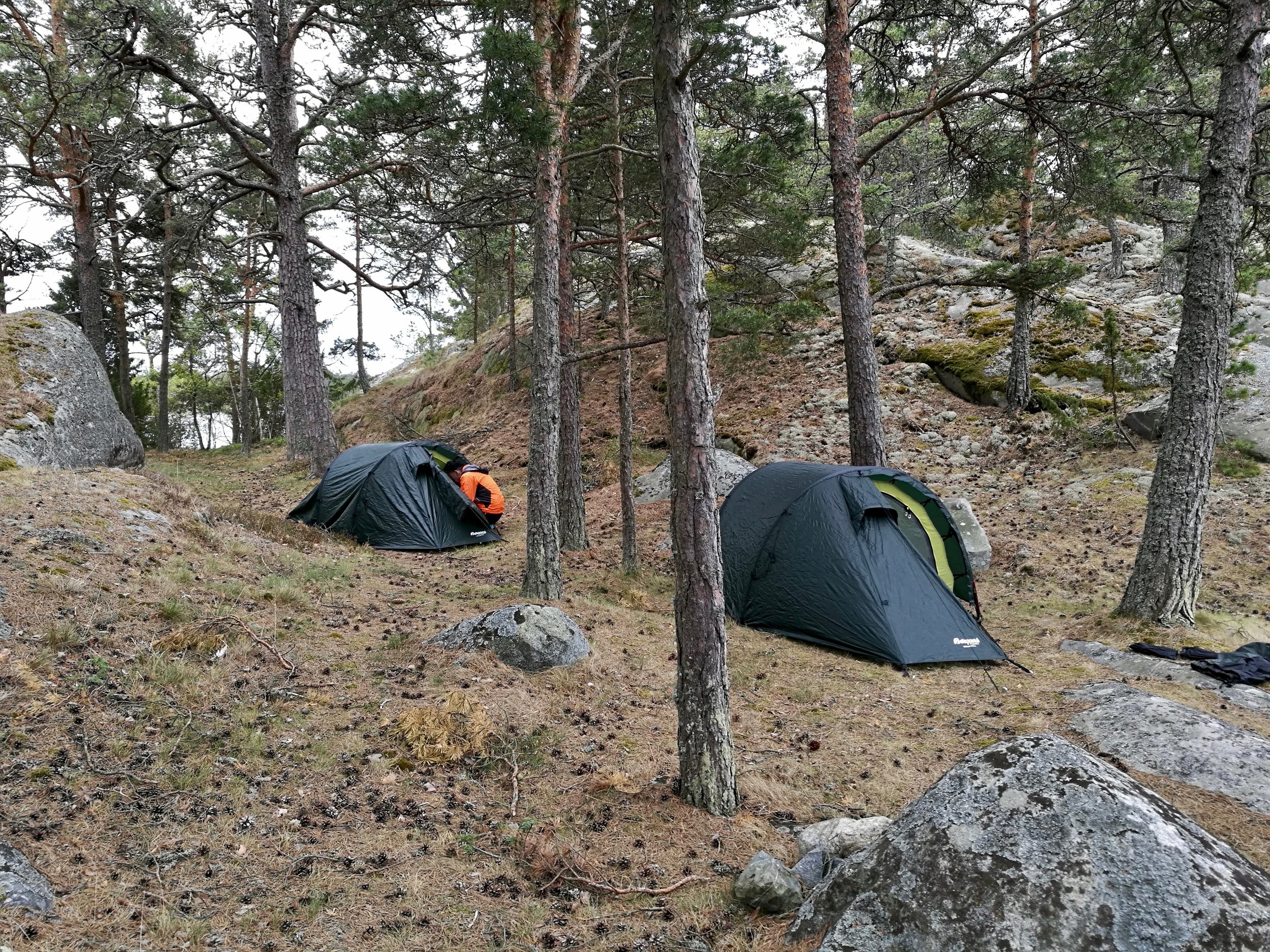 vad du ska göra i stockholm un july