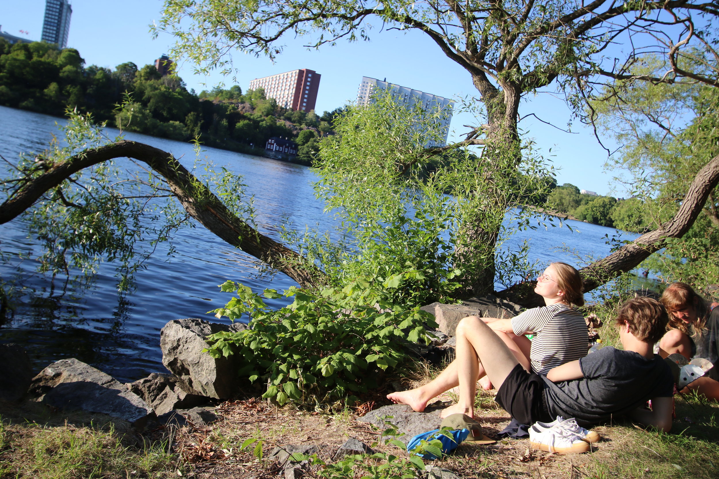  Kayaking in Stockholm City - Guided Stockholm Tours 6