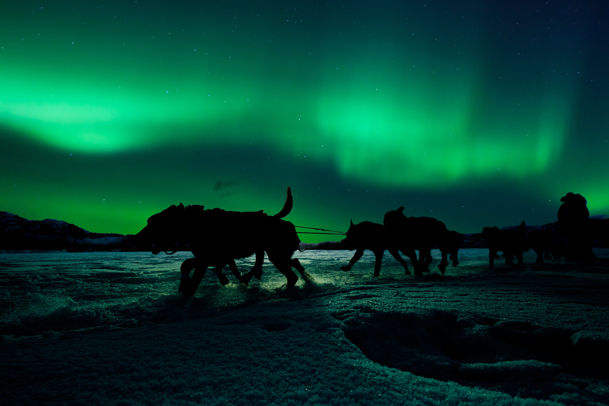 Private Tours in Lapland - Winter Experience Tours - Sweden 6