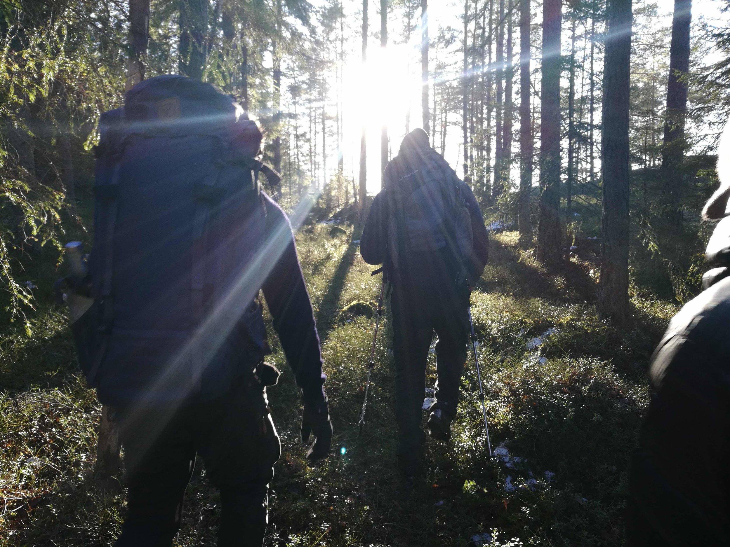 La formation d'équipes. Öka ert samarbete med roliga aktiviteter