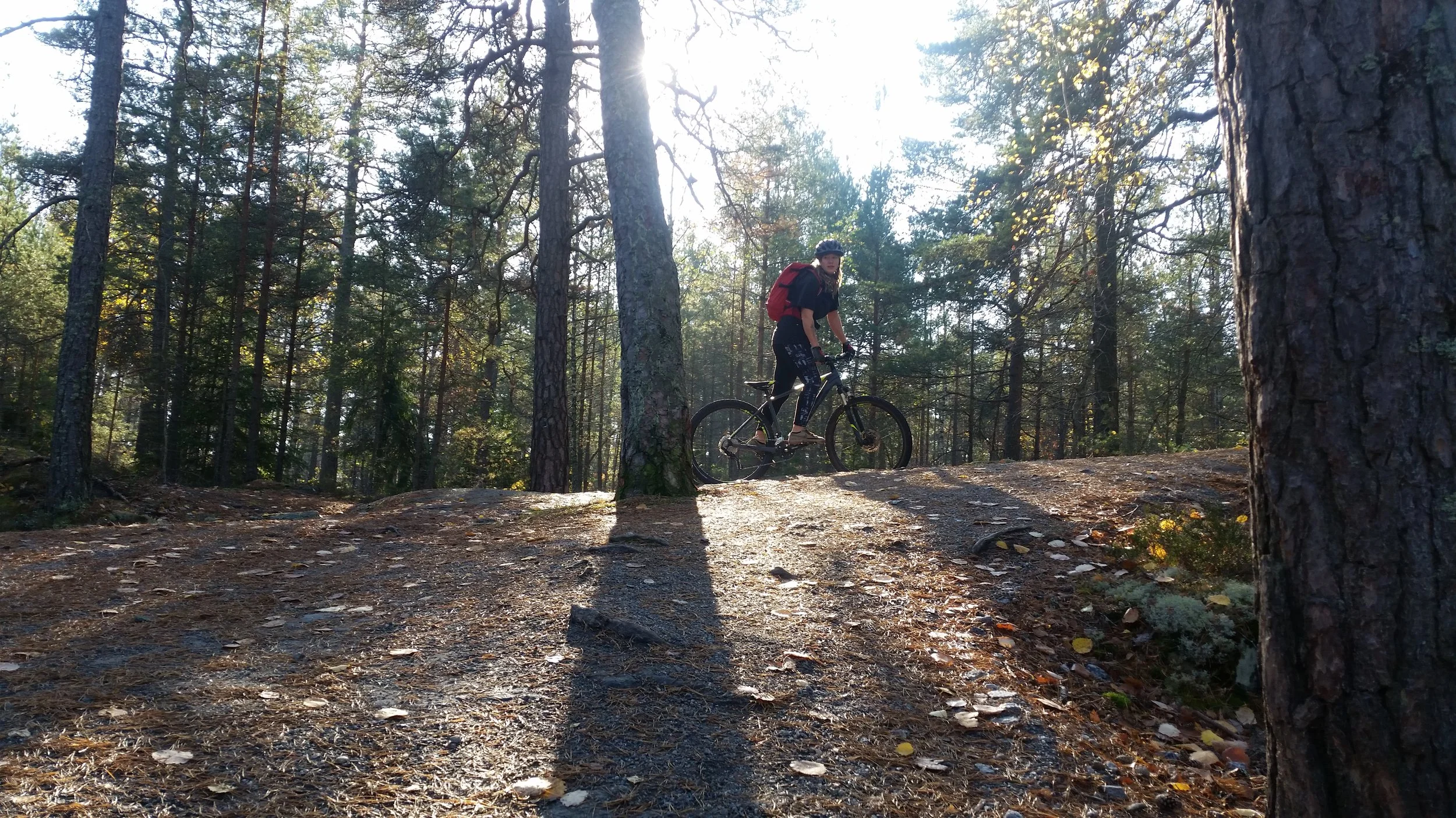 Mountain Biking in Stockholm Forests Guided Tours