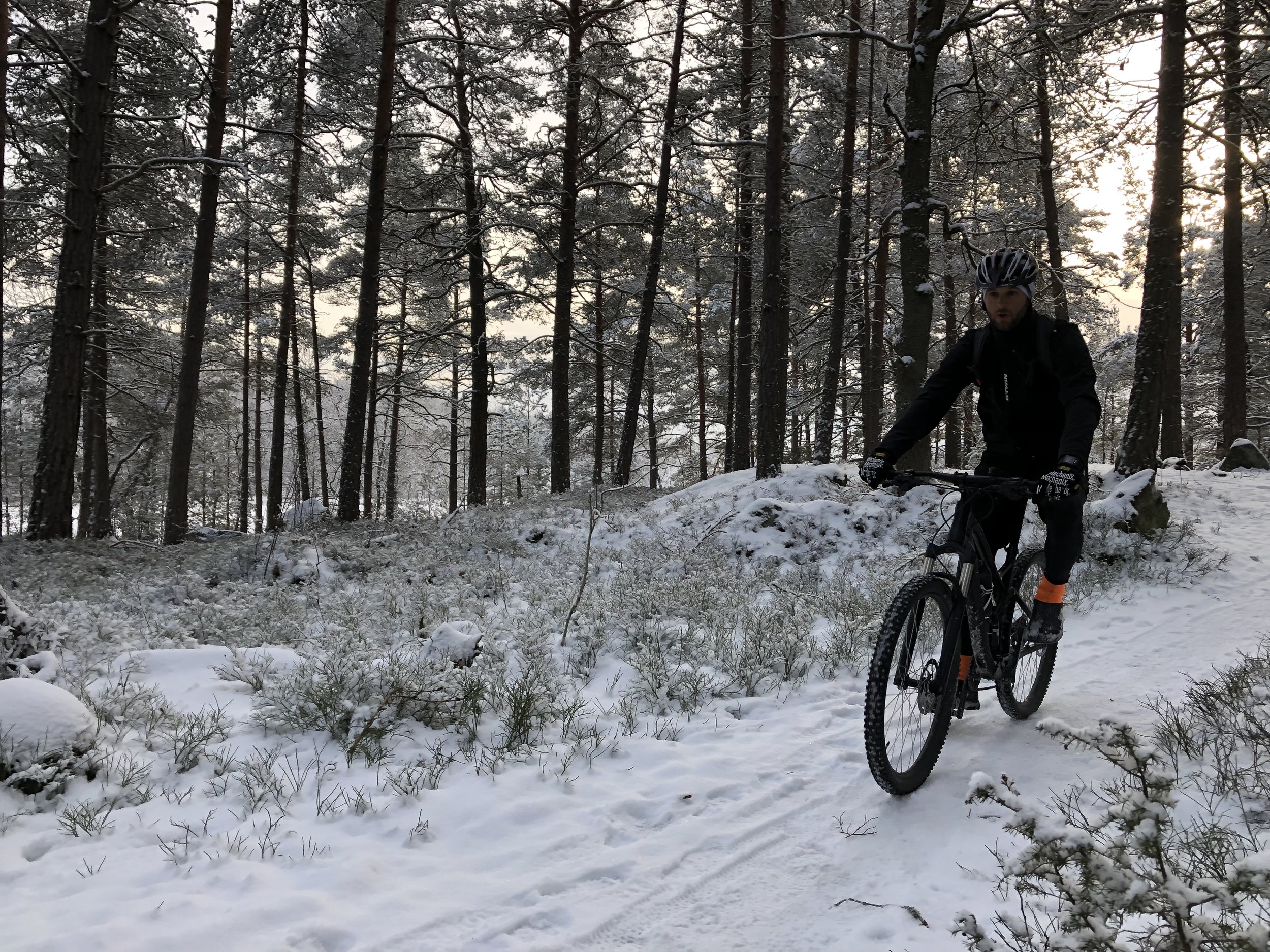 VTT dans les forêts de Stockholm Visites guidées True Nature Sweden Que faire à Stockholm