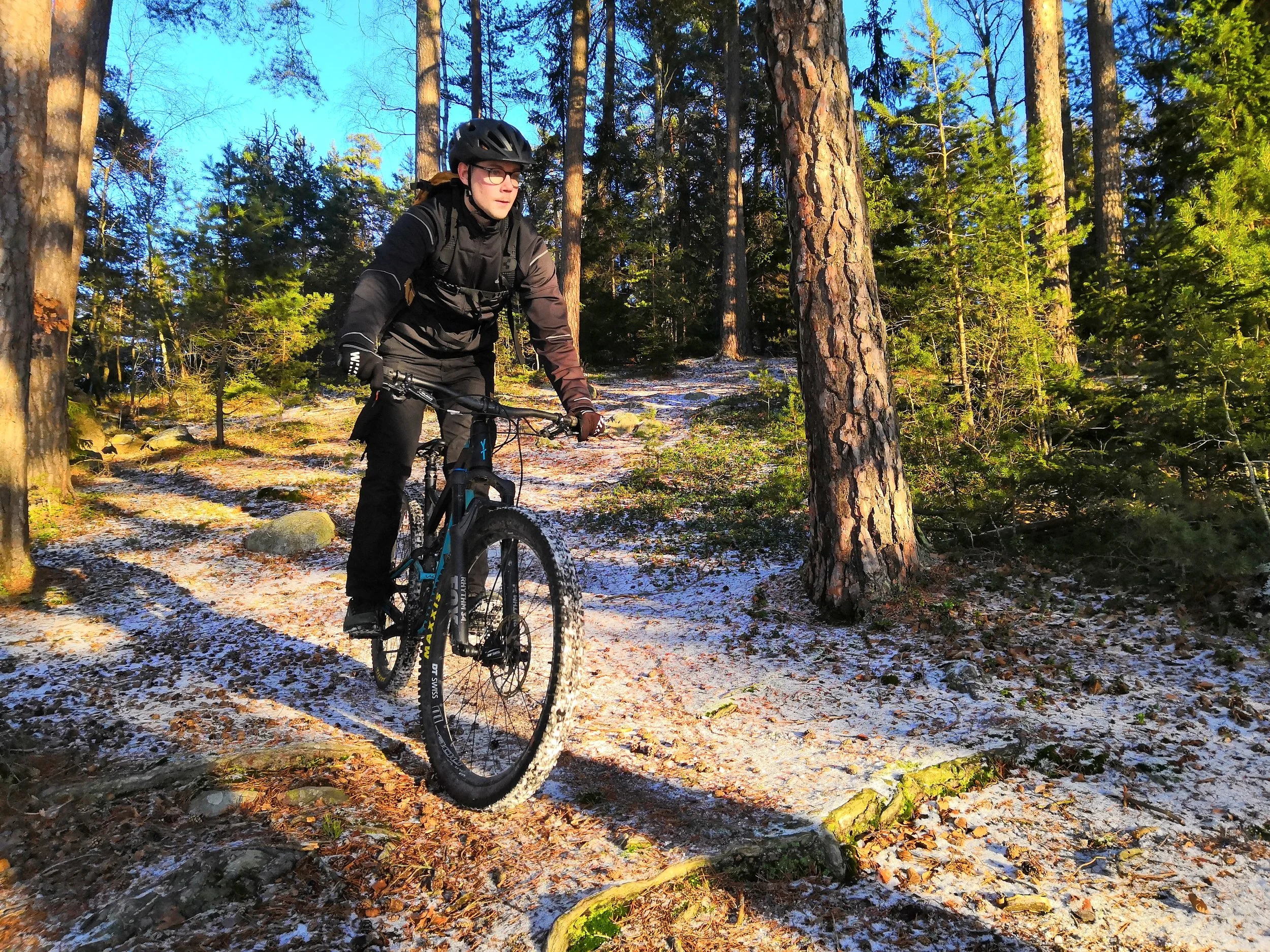 Mountain Biking in Stockholm Forests Guided Tours True Nature Sweden What to do in Stockholm