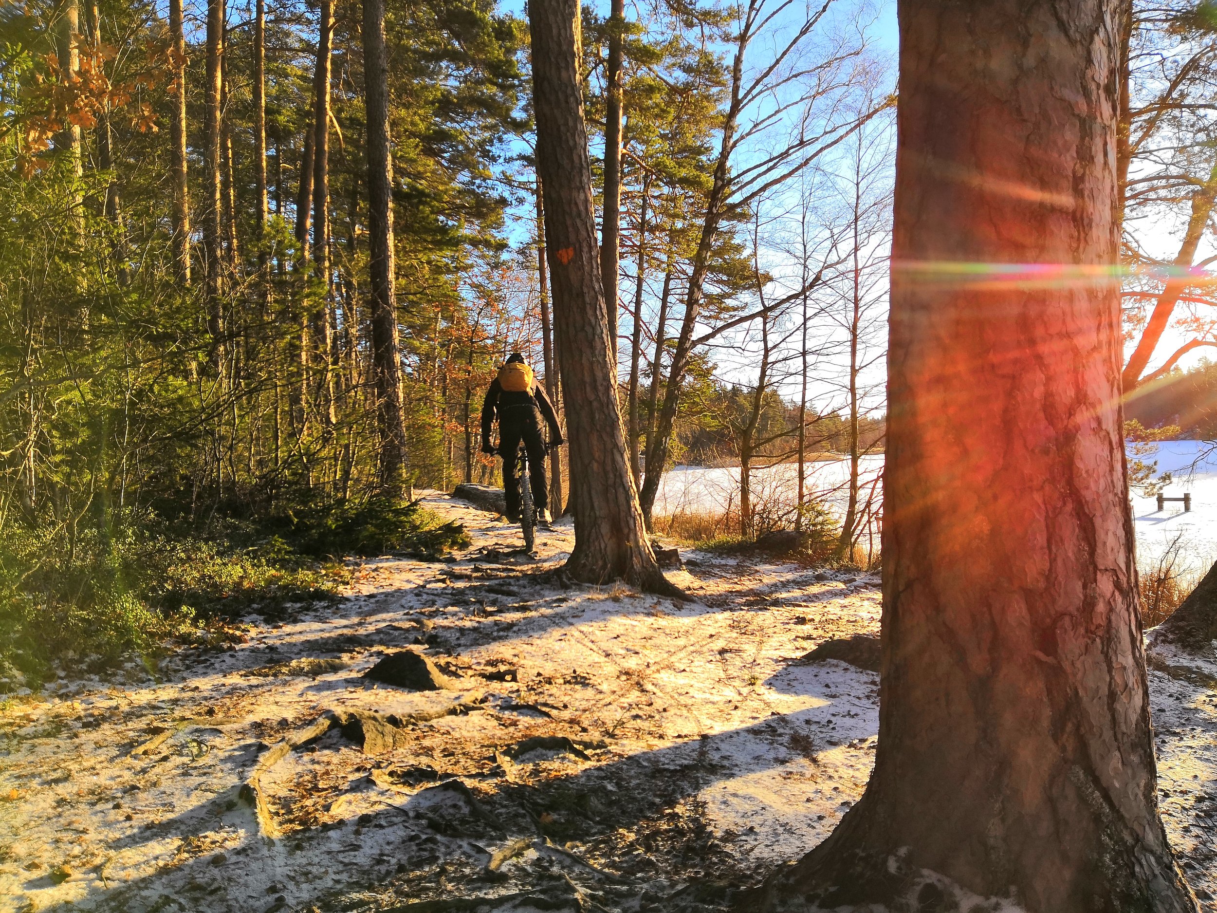 VTT dans les forêts de Stockholm Visites guidées True Nature Sweden Que faire à Stockholm