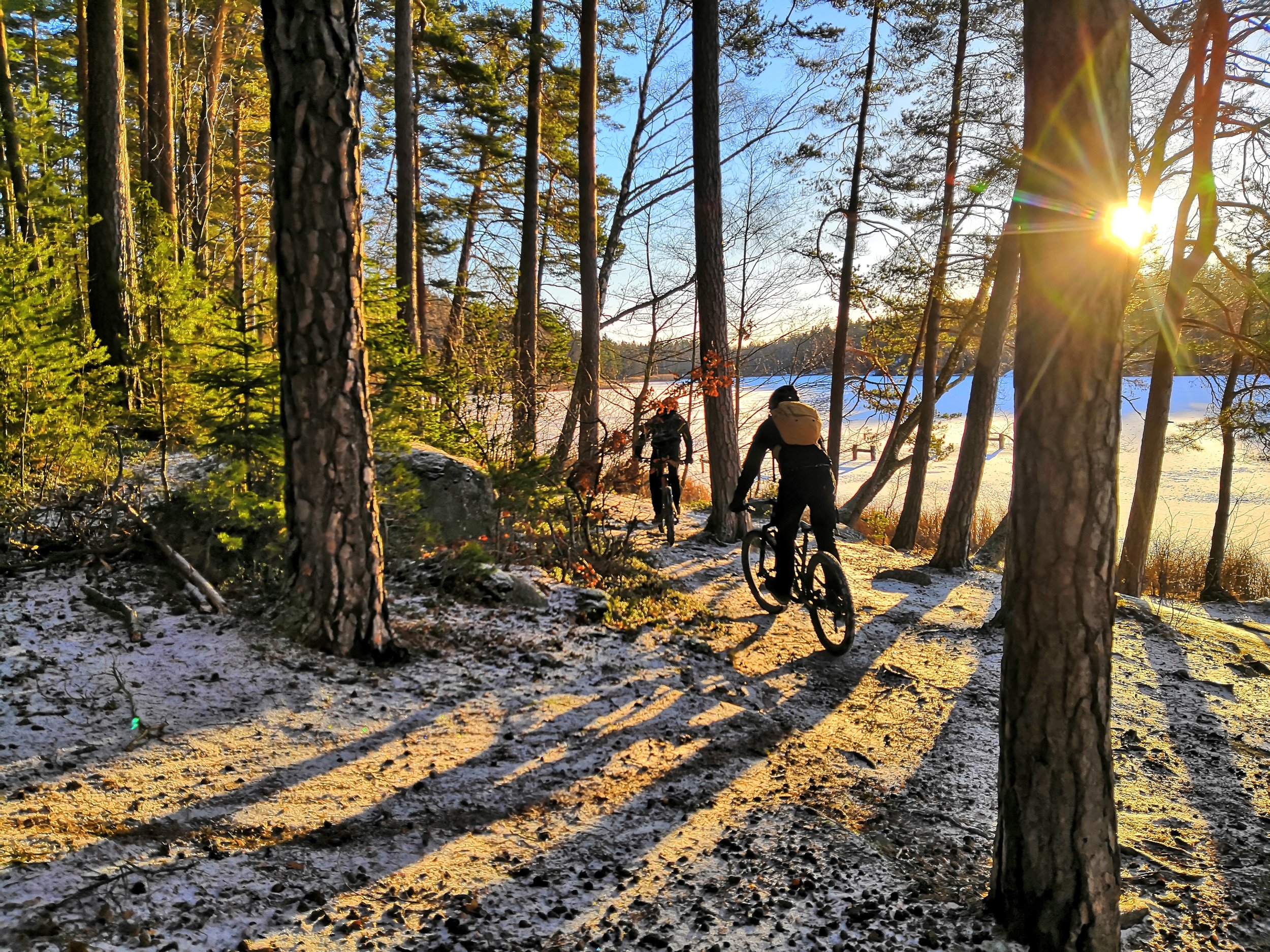 Mountain Biking in Stockholm Forests Guided Tours True Nature Sweden What to do in Stockholm