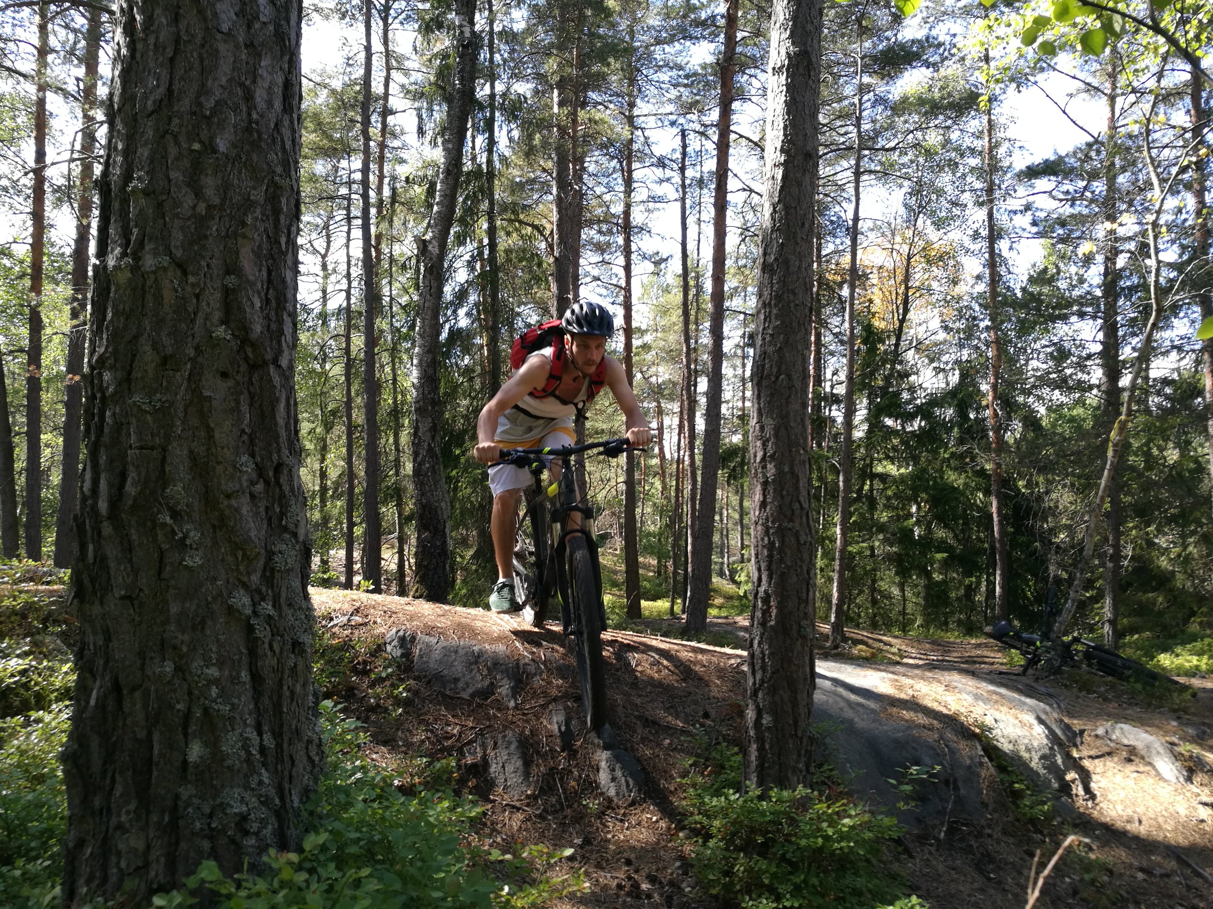 Mountain Biking in Stockholm Forests Guided Tours True Nature Sweden What to do in Stockholm