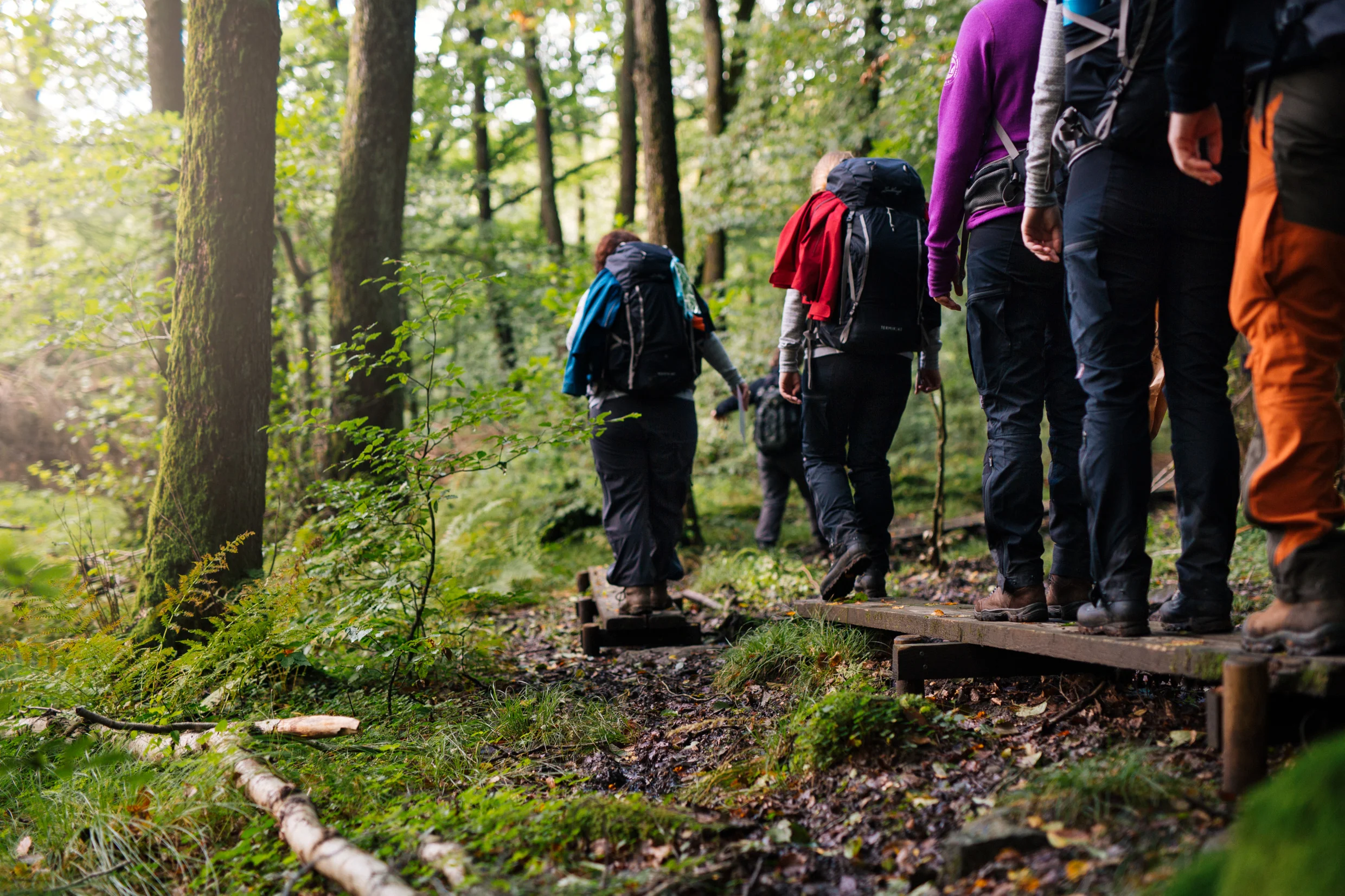 apelöga-hiking_in_the_forest-6138.jpg