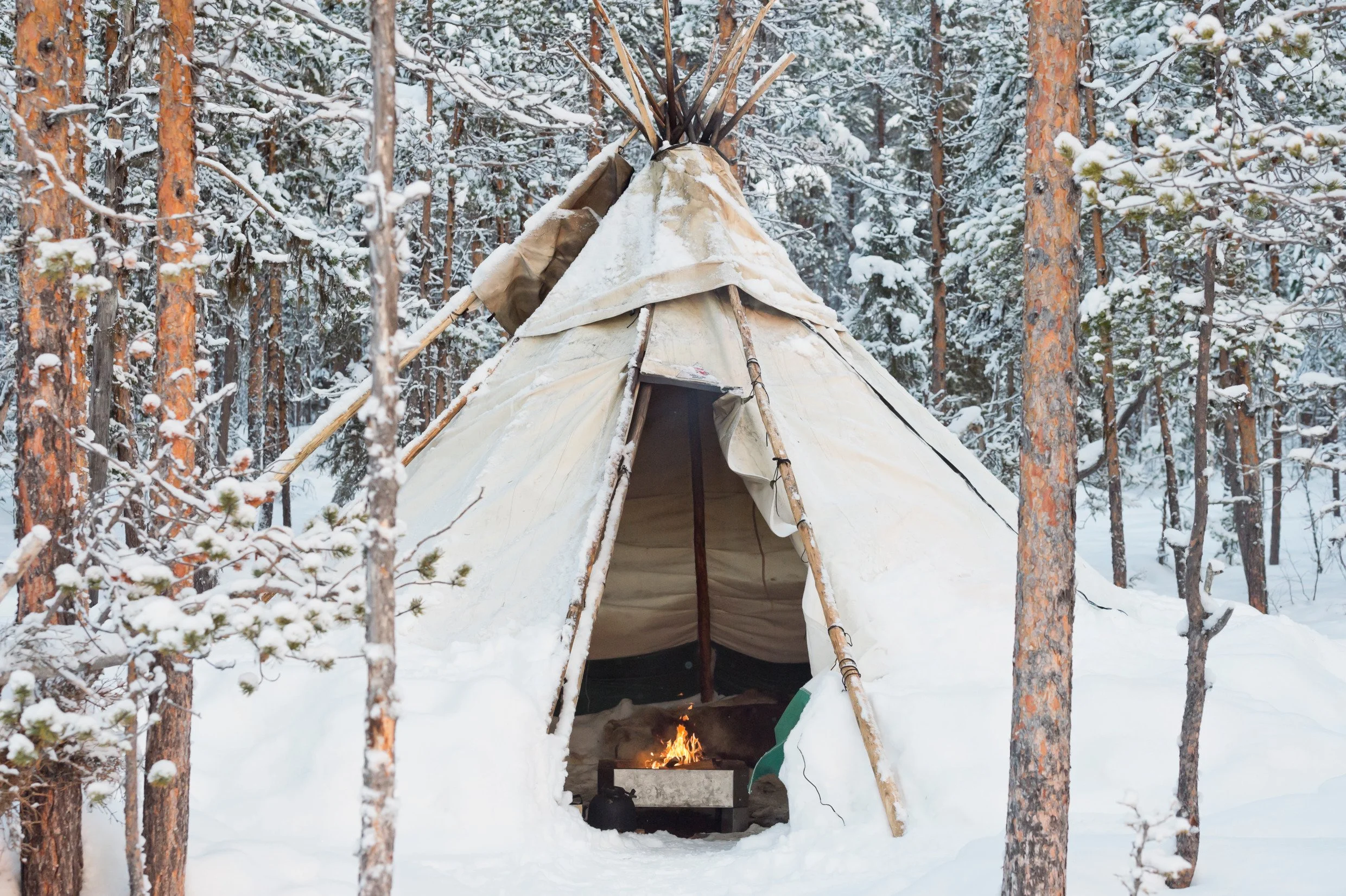 anna_öhlund-tipi_tent_in_the_woods-6474.jpg