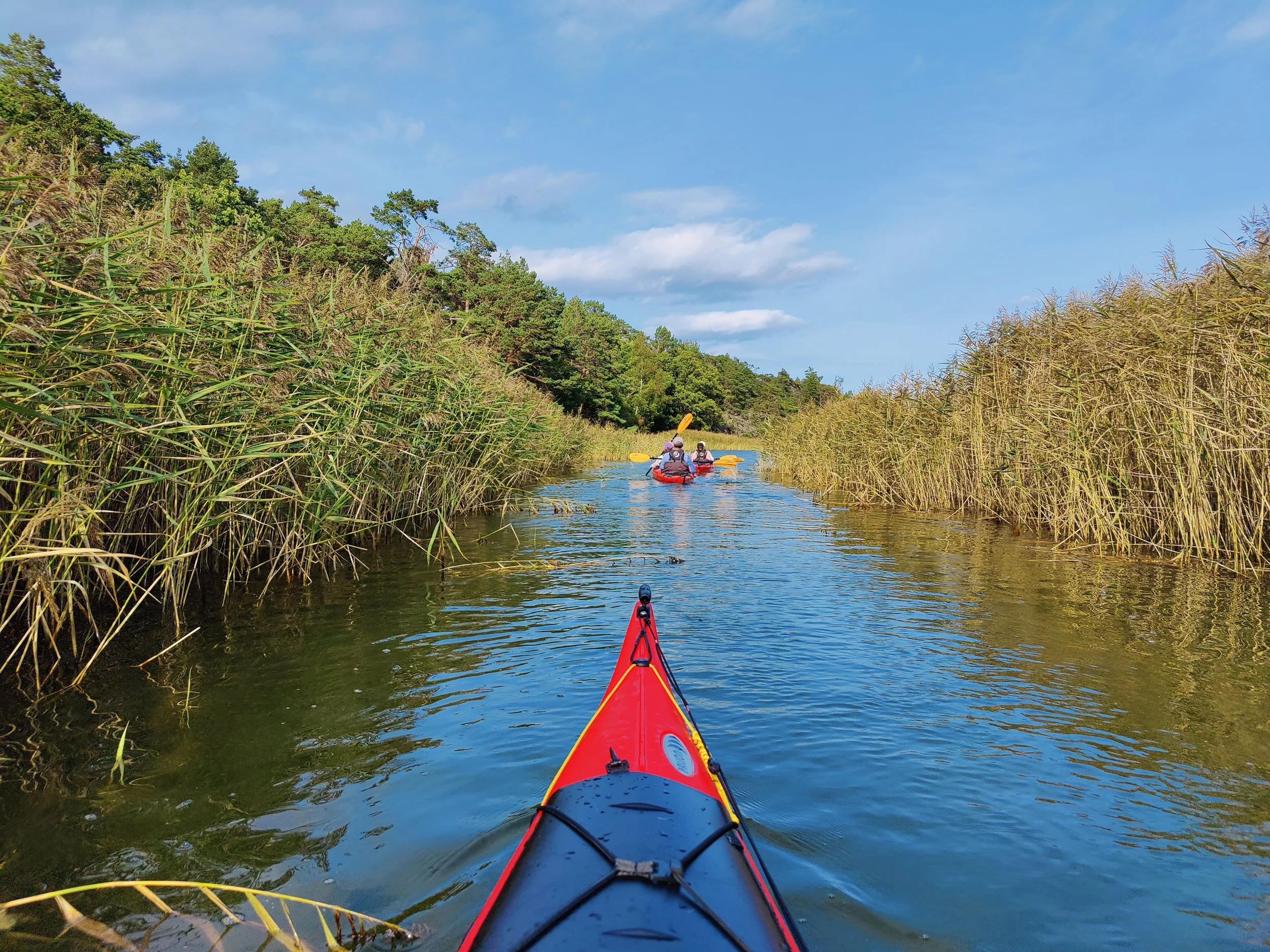 IMG_20210824_154738 (1).jpg