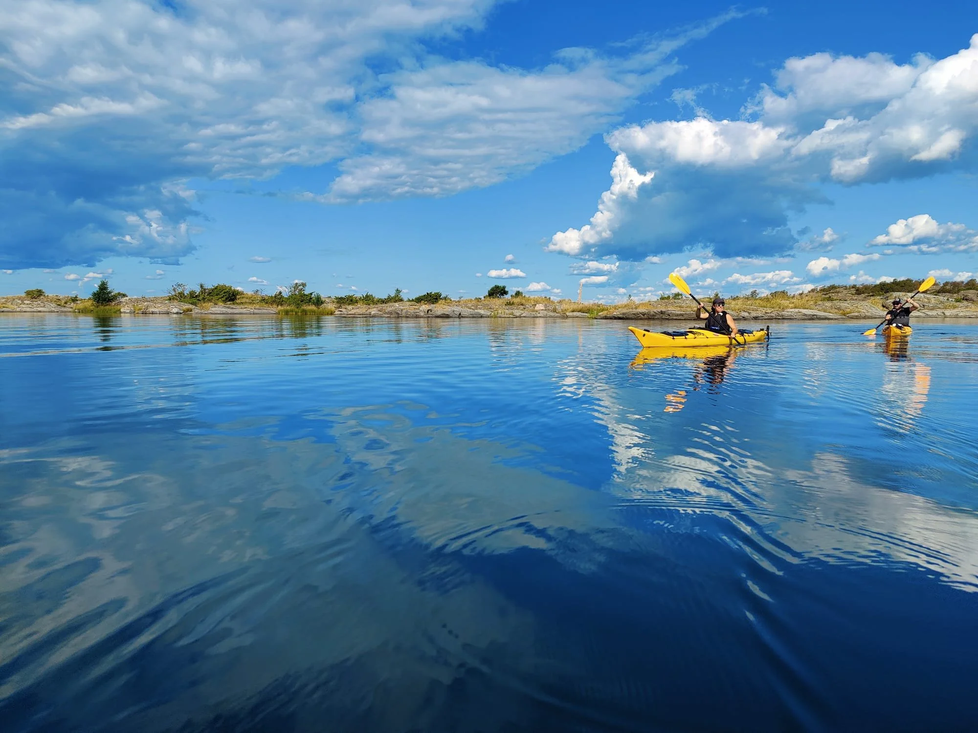 IMG-20210805-WA0000 (2).jpg