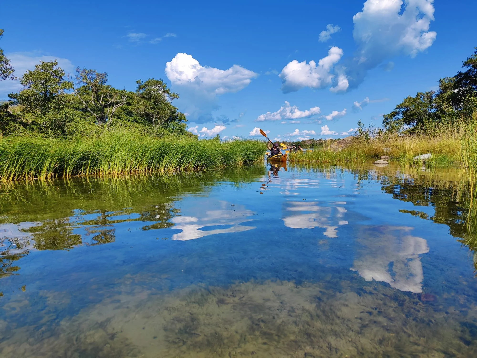 IMG-20210805-WA0007 (2).jpg