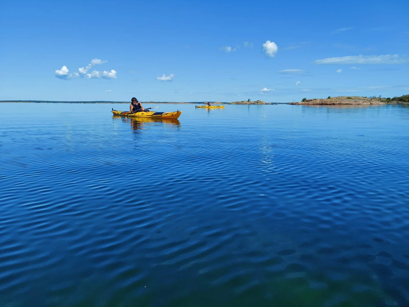 IMG-20210805-WA0016 (1).jpg