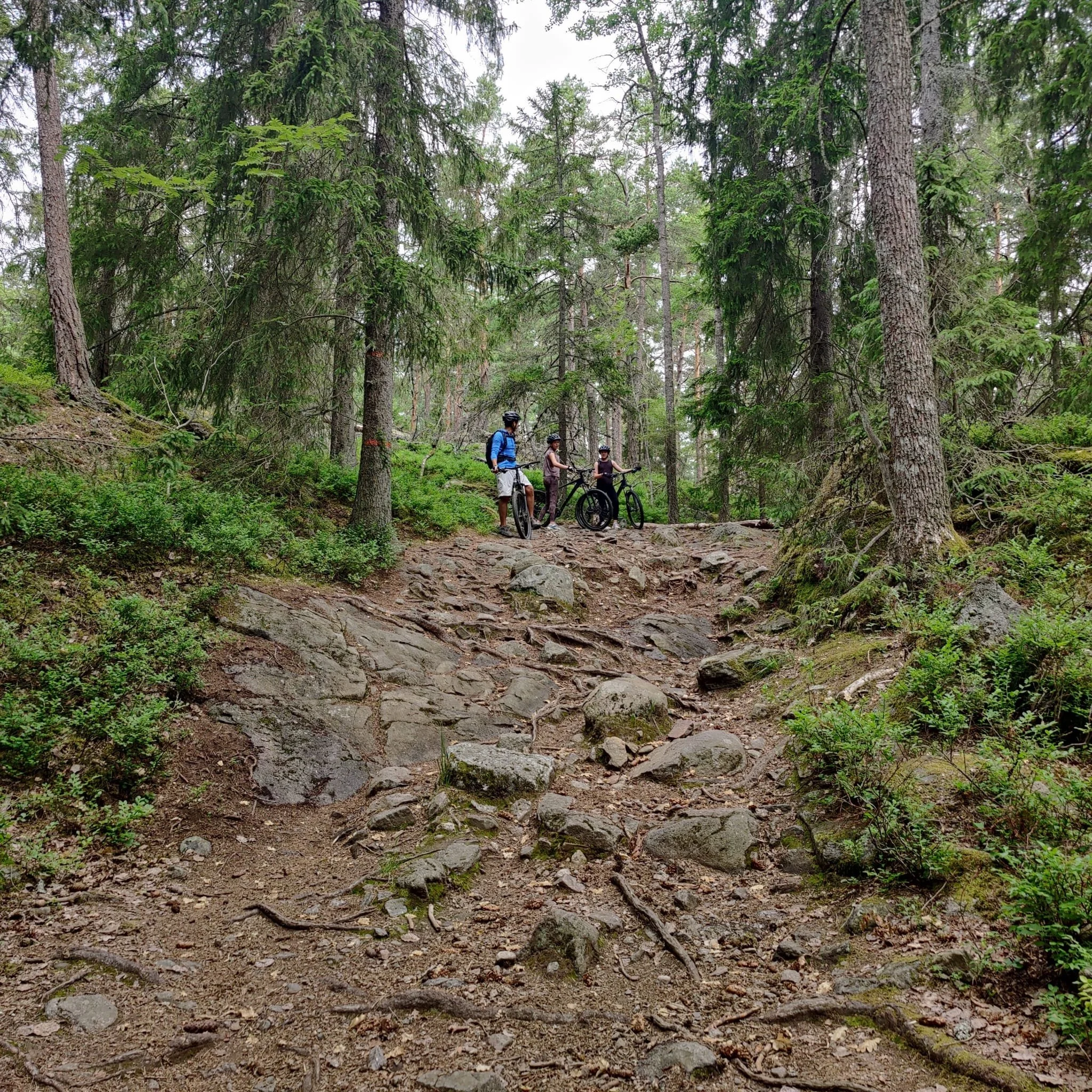 WhatsApp Image 2022-06-30 at 15.14.47 (1).jpeg