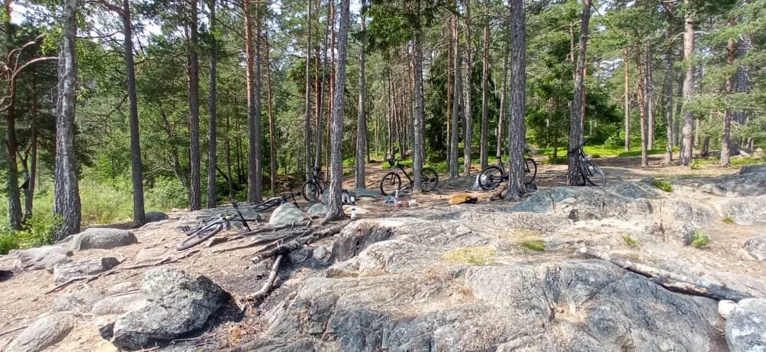 WhatsApp Image 2022-06-30 at 18.01.45.jpeg