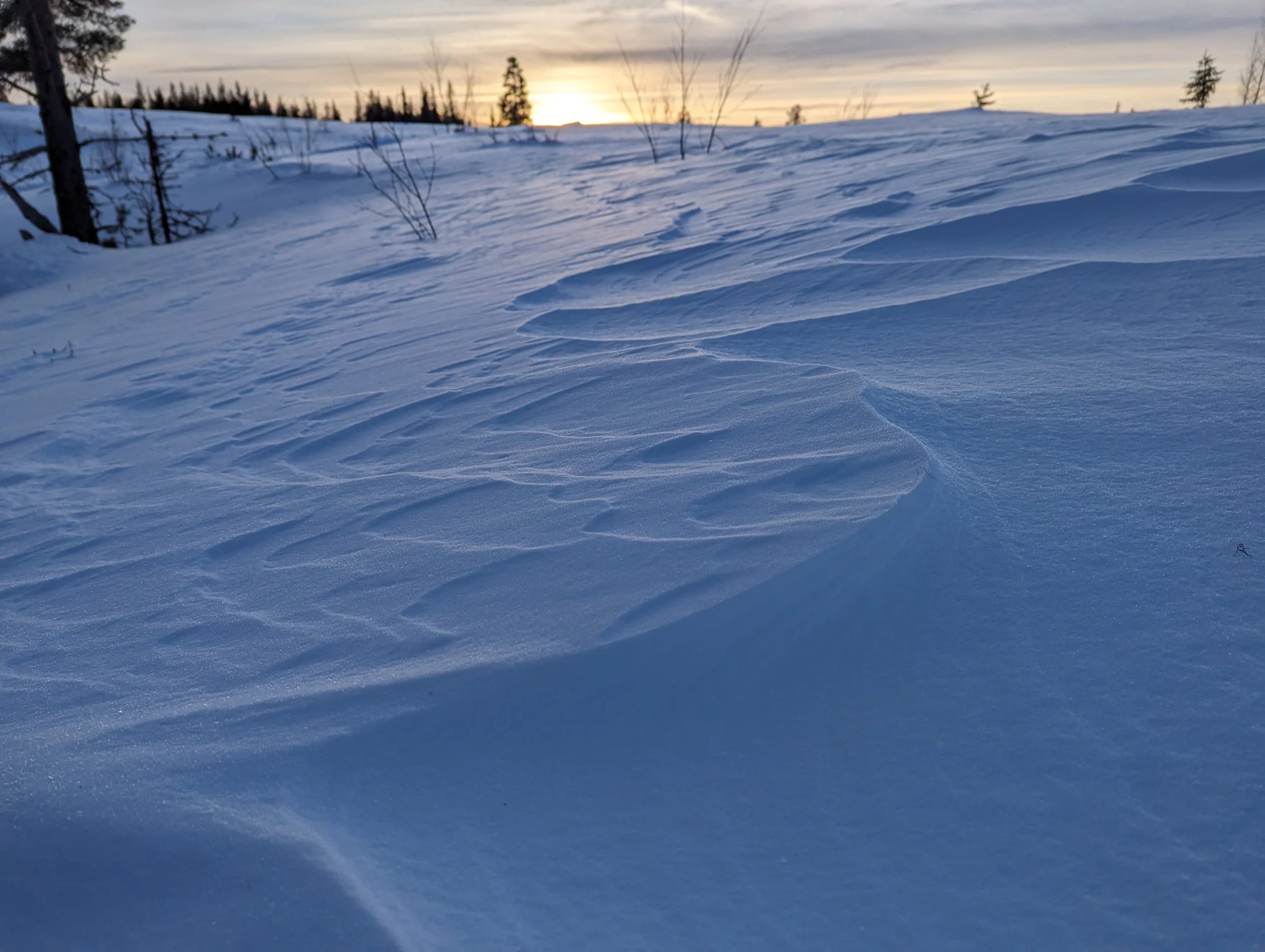 PXL_20240202_125716536.MP.jpg