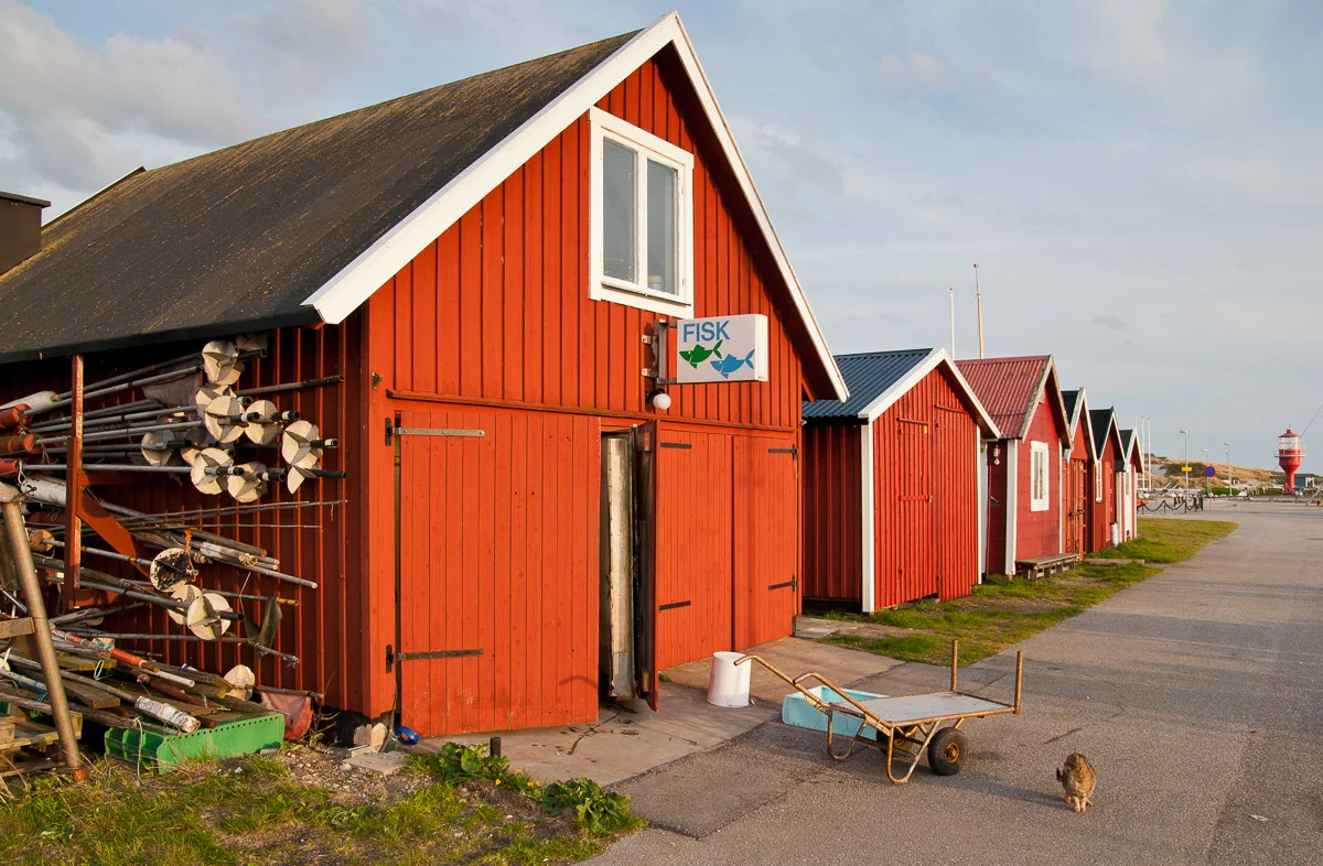 DS-43.jpg