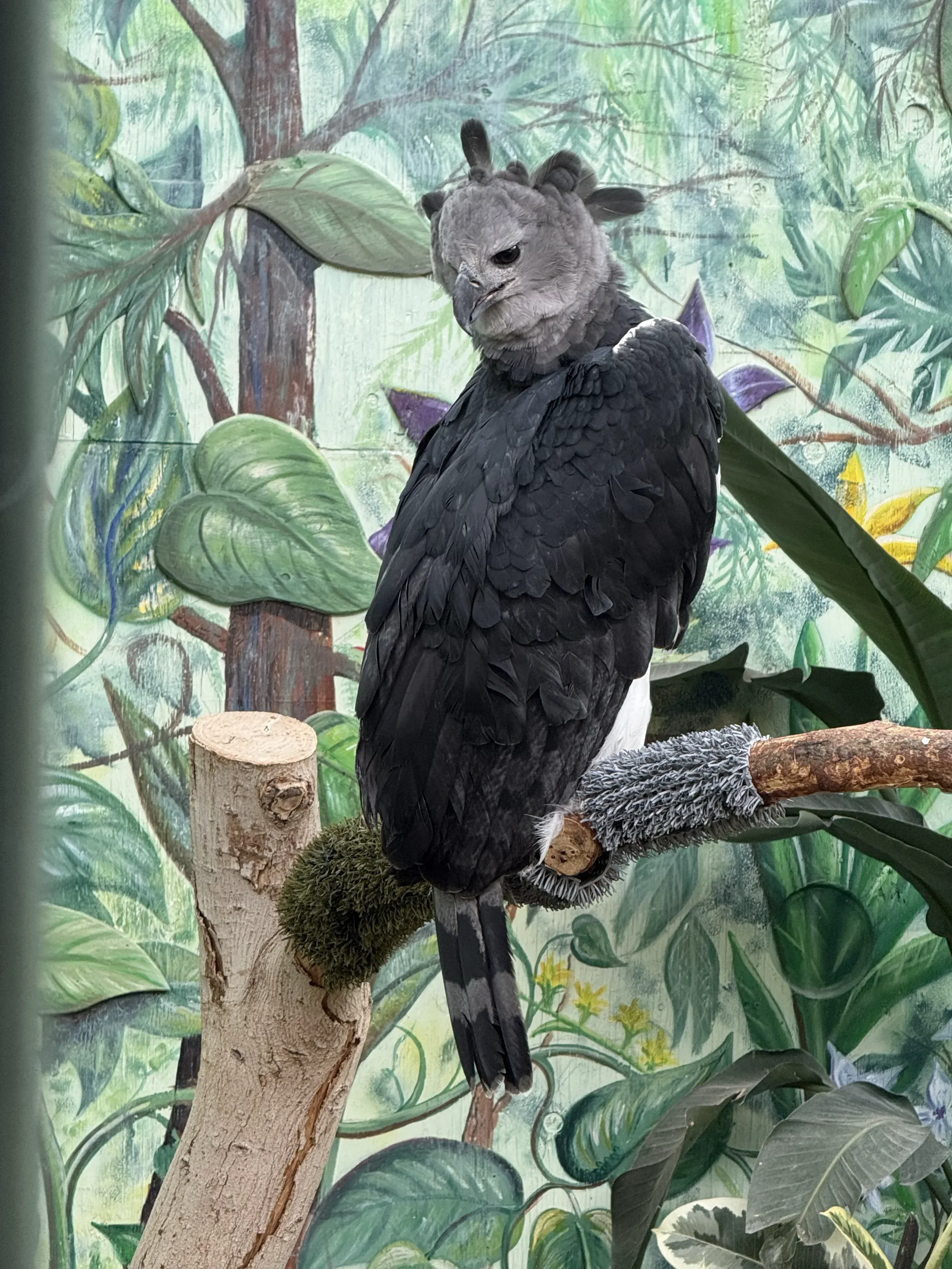 Image_20260629_145558_806.webp