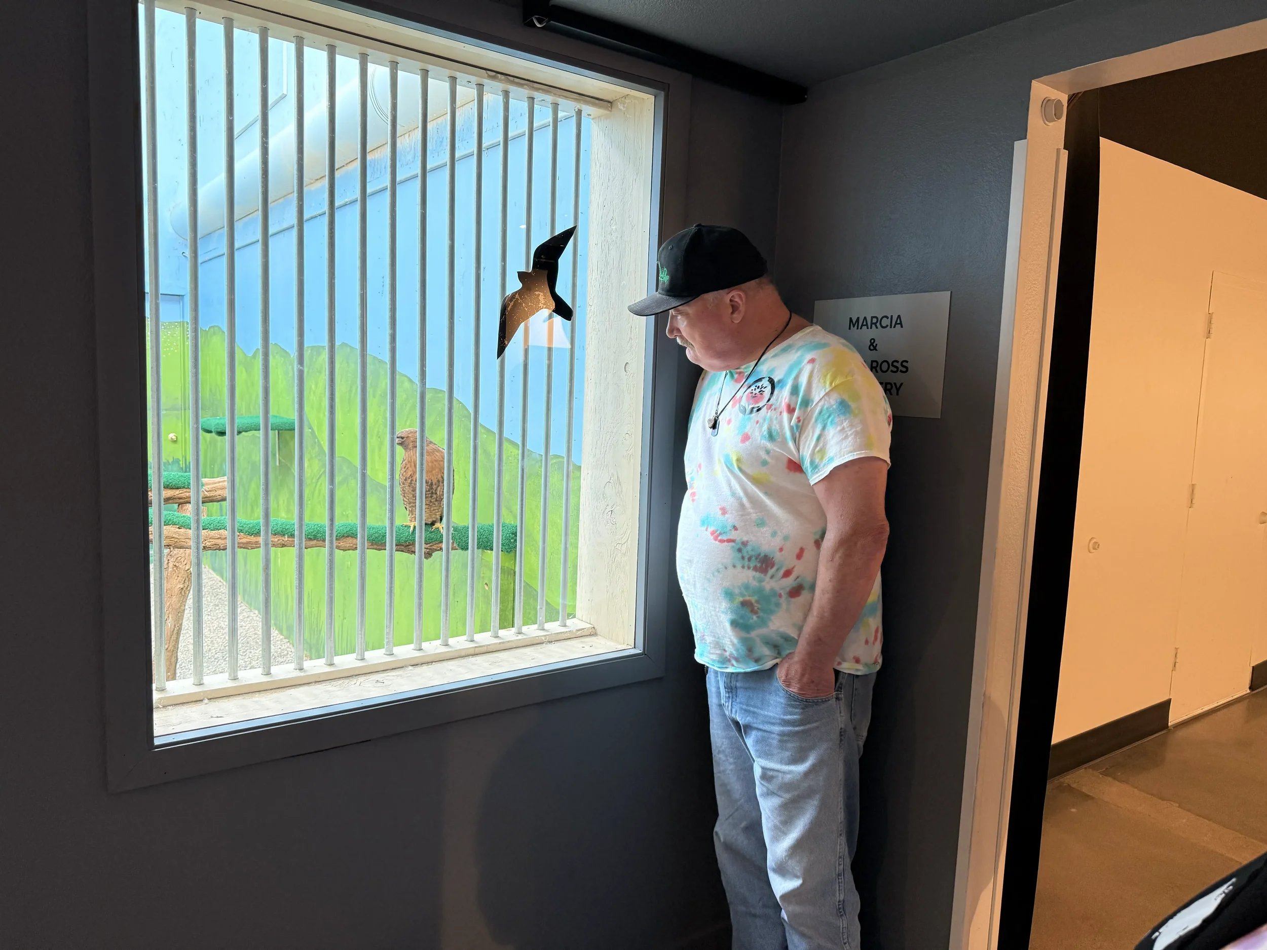 Image_20260629_145558_558.webp