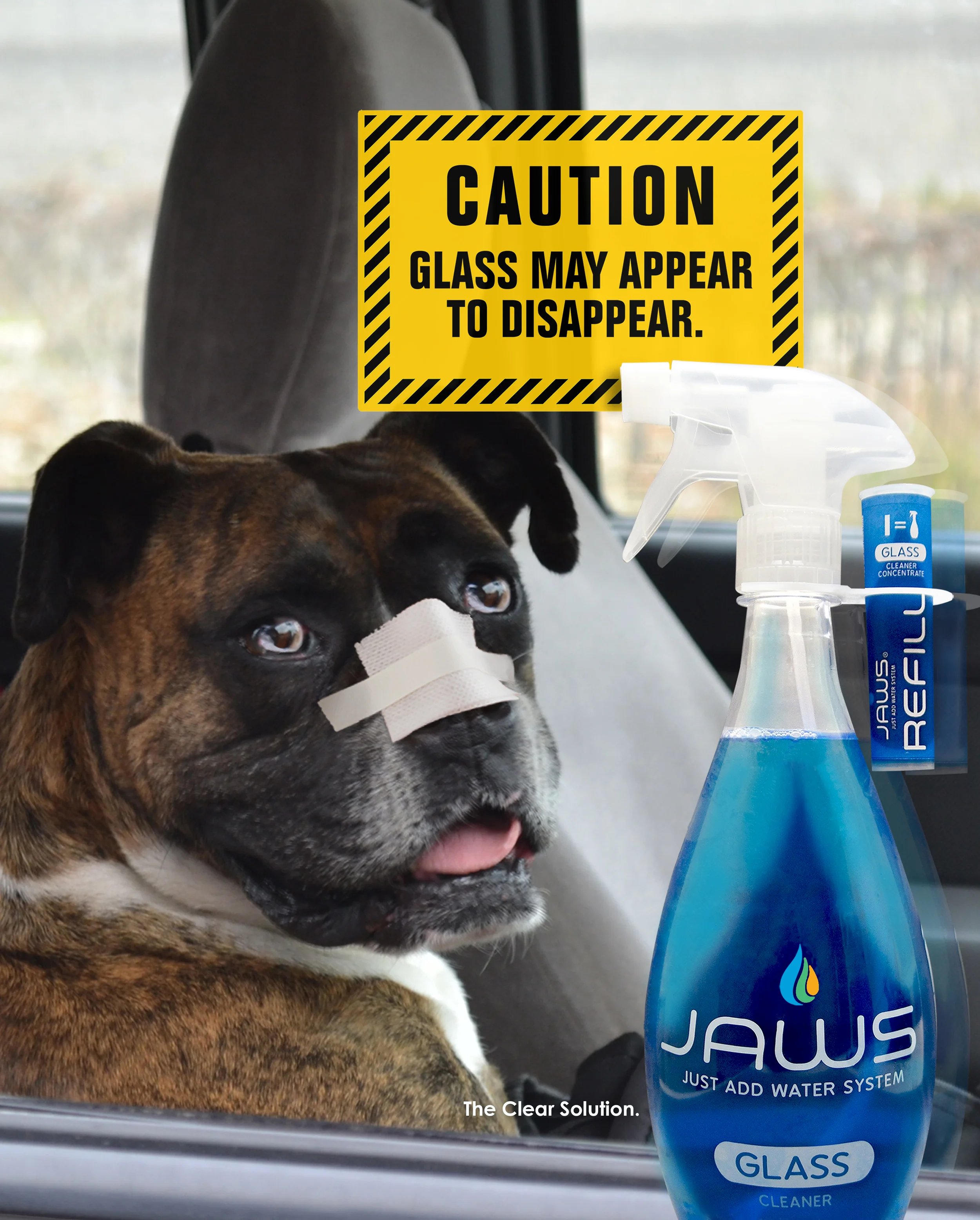 JAWS-143495_DogHeaderB.jpg