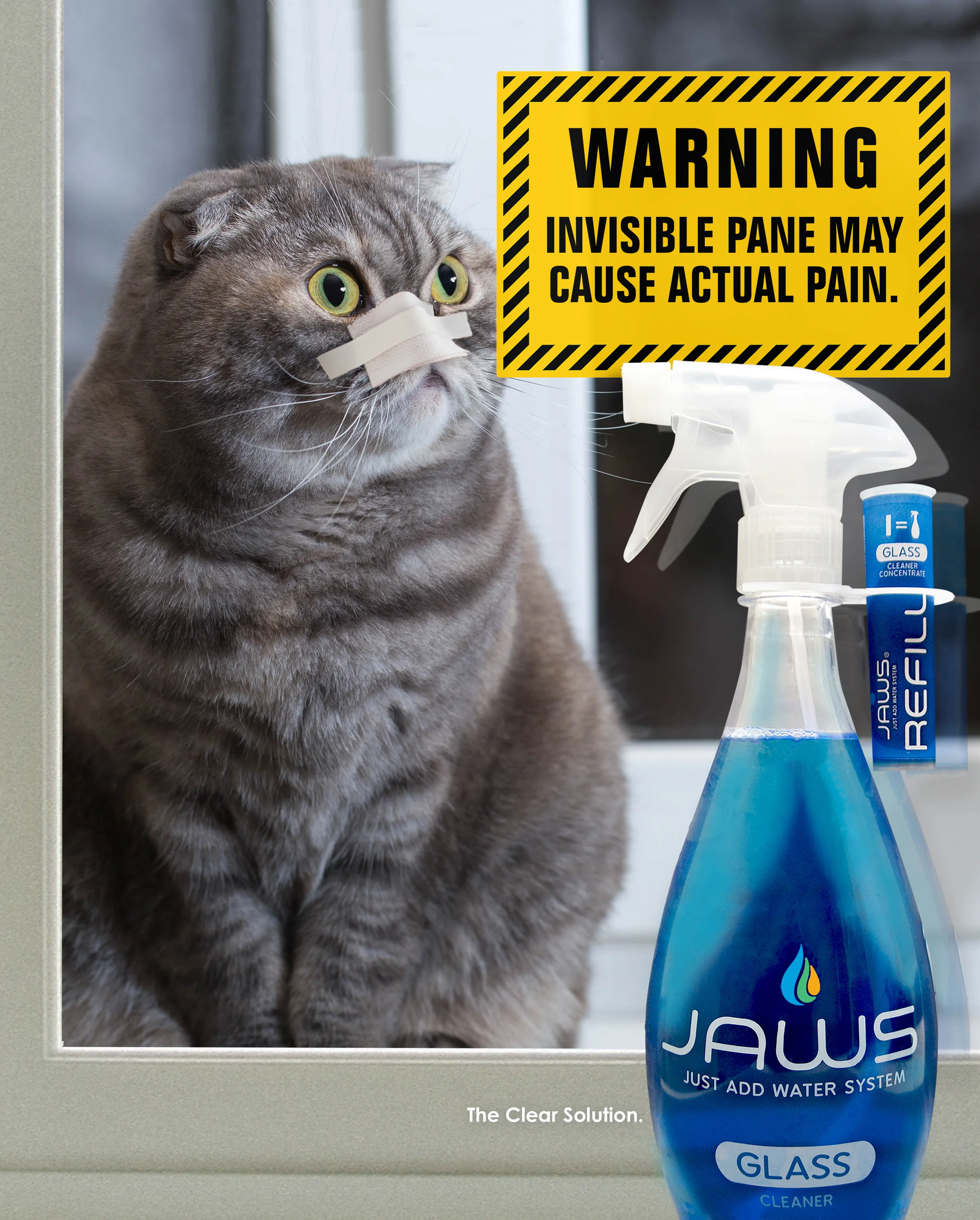 JAWS-143495_CATHeaderB.jpg