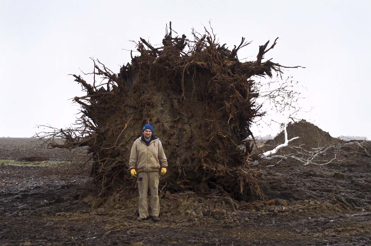  Mike Flesner, in front a tree stump on land where the Morton Seed Company drying barn used to stand. It took him two full days to remove the stump. It was cheaper to knock the building down and clear the land than pay taxes on property. Adams County