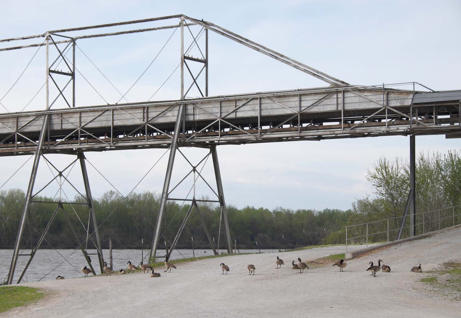  A conveyor loads grain onto river barges for sale around the world. Mississippi River. Warsaw, IL. April, 2017. 