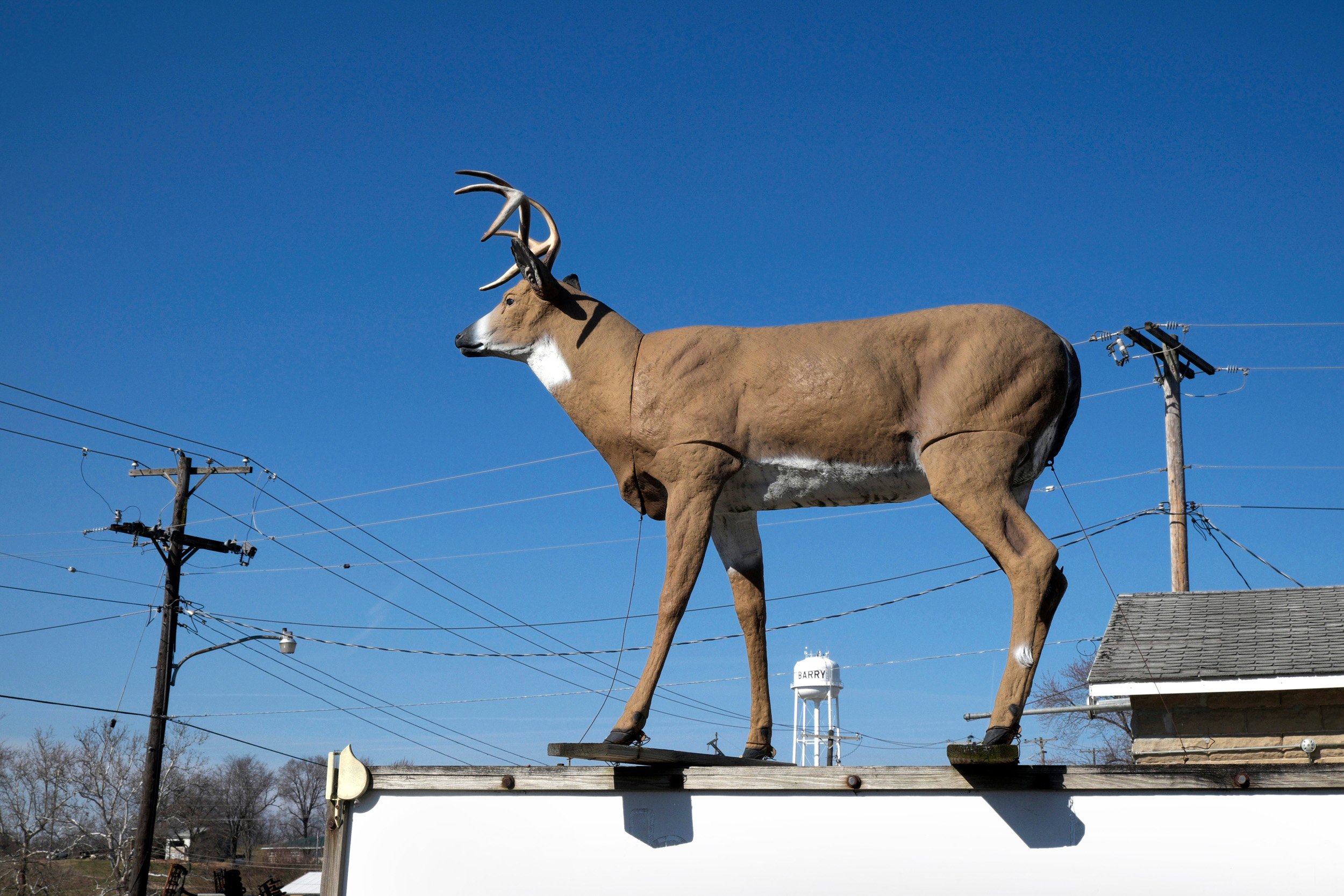  Plastic buck advertising a taxidermy store. Barry, IL February, 2017 