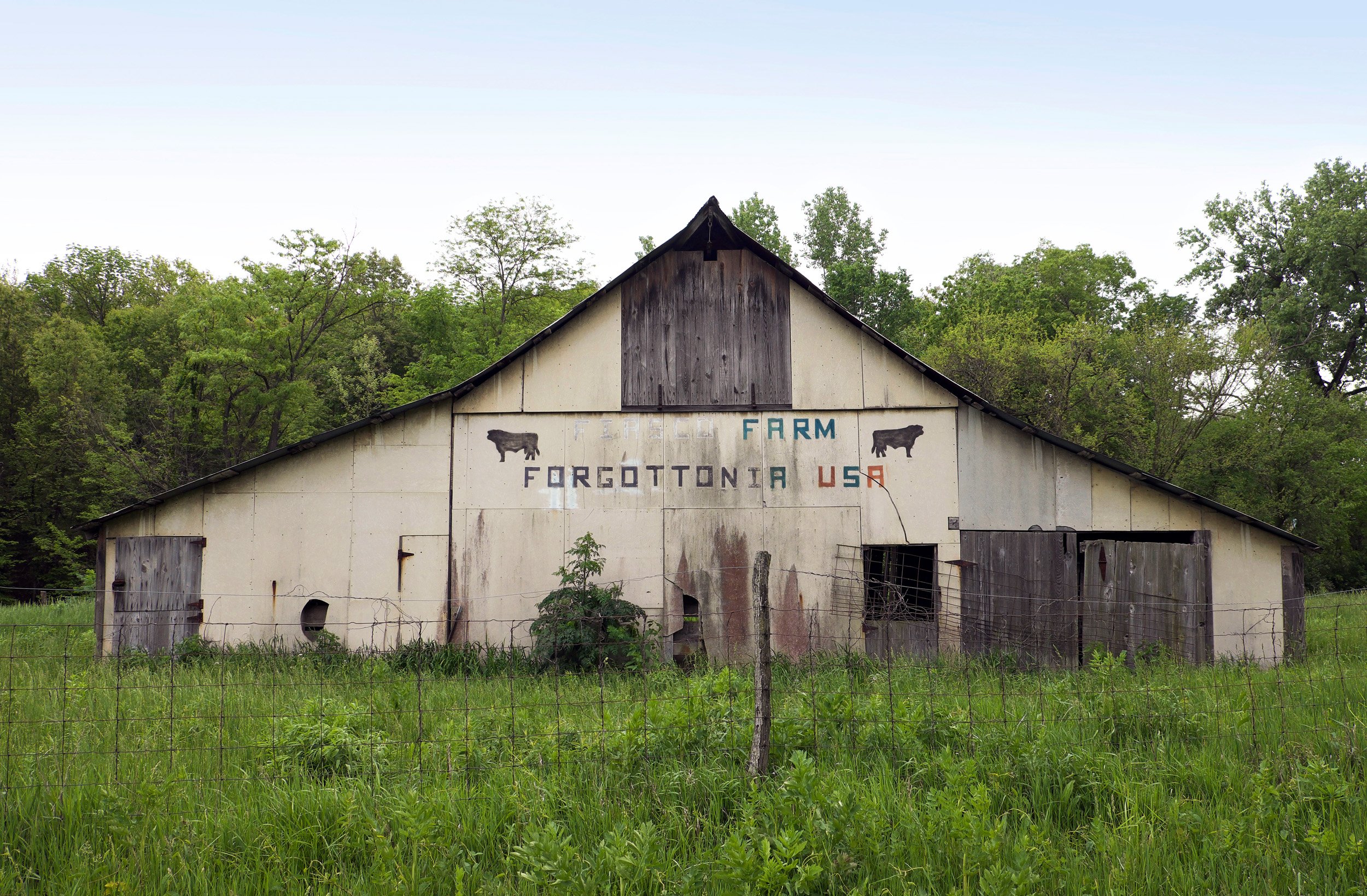  Barn with painted Forgottonia sign. Ellisville, IL. May, 2016 
