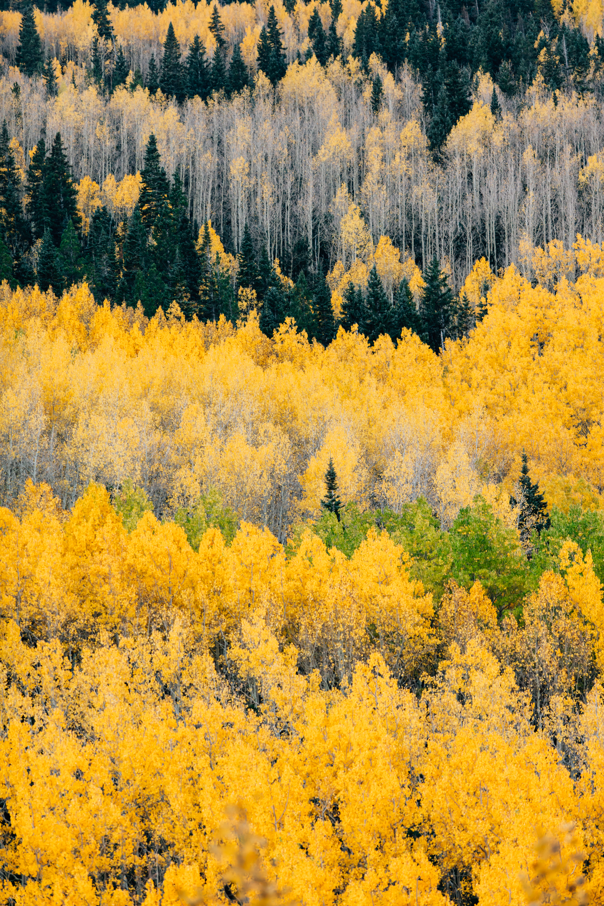 Arizona Landscape Photographer