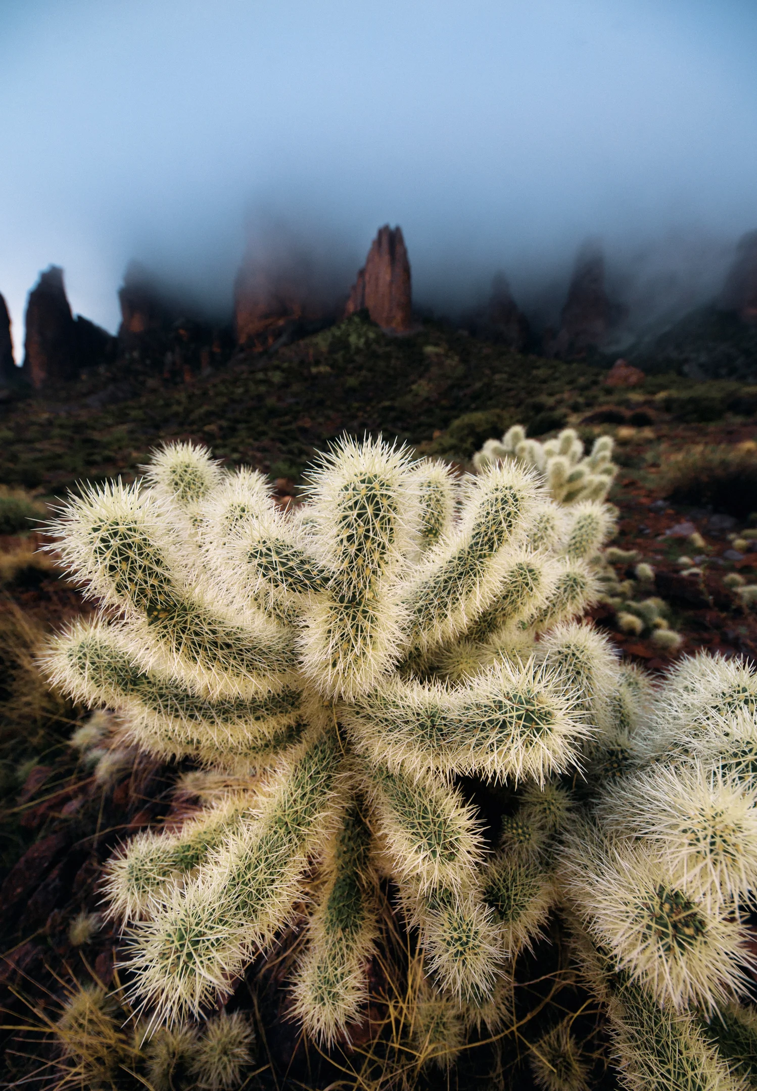 Arizona Landscape Photographer