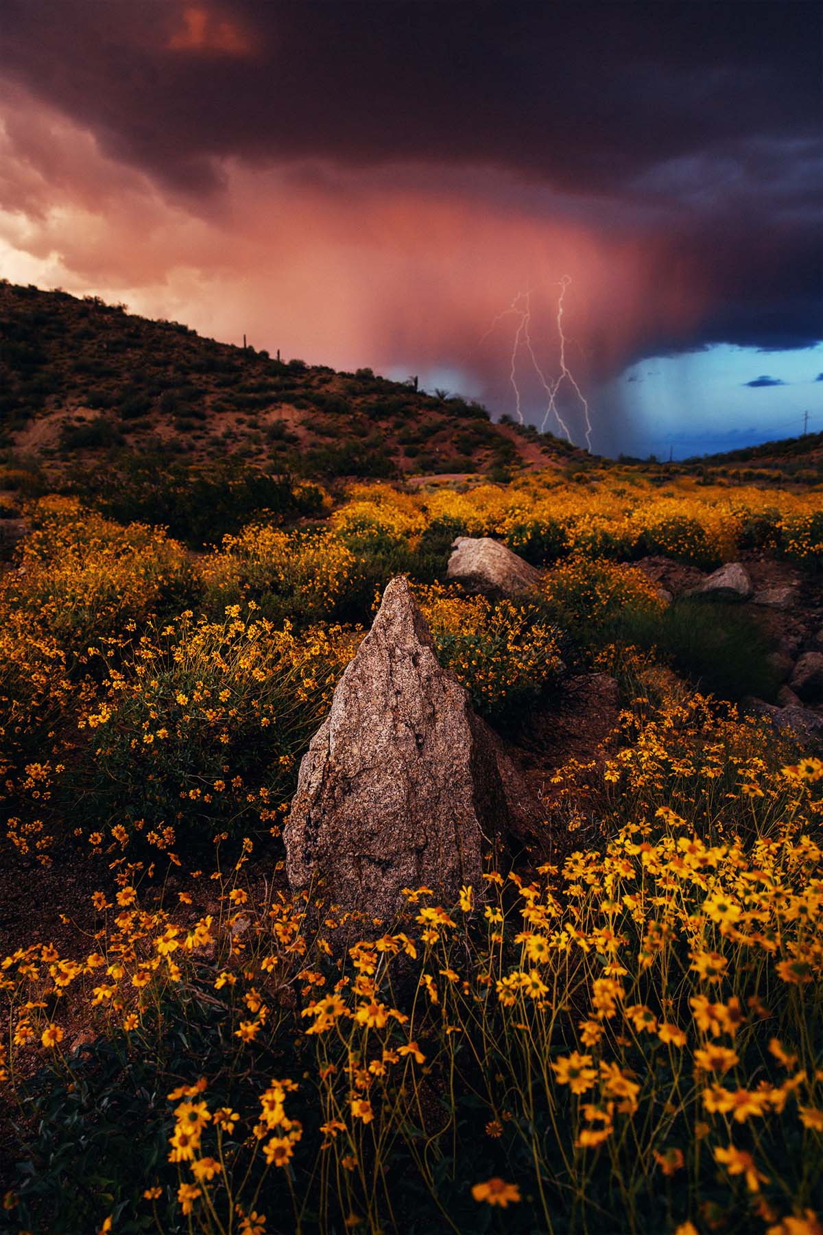 Arizona Landscape Photographer