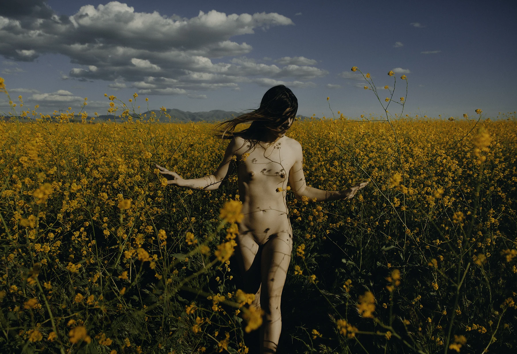 Phoenix Fine art photographer