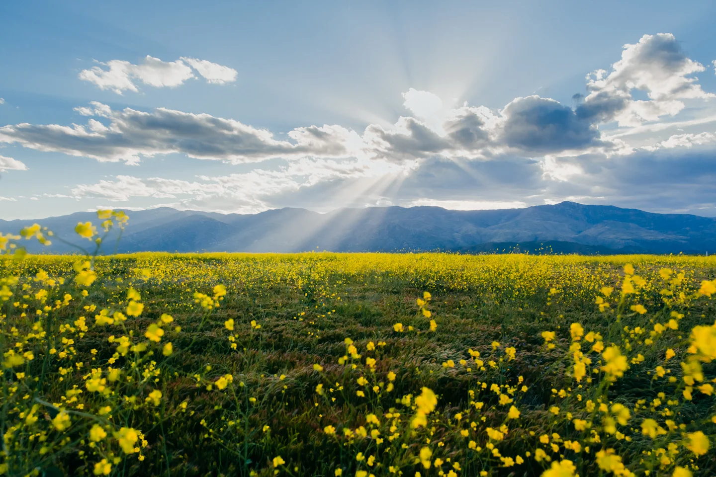 Arizona Landscape Photographer
