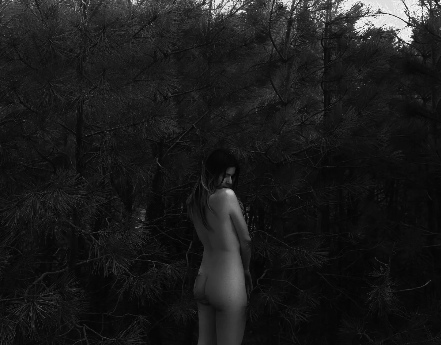 fine art photographers phoenix