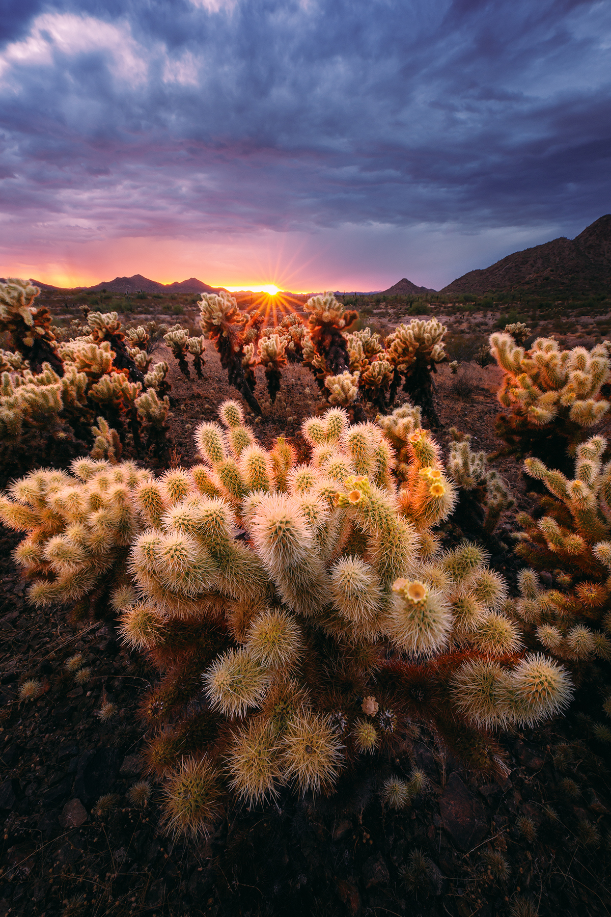 Arizona landscape photographer