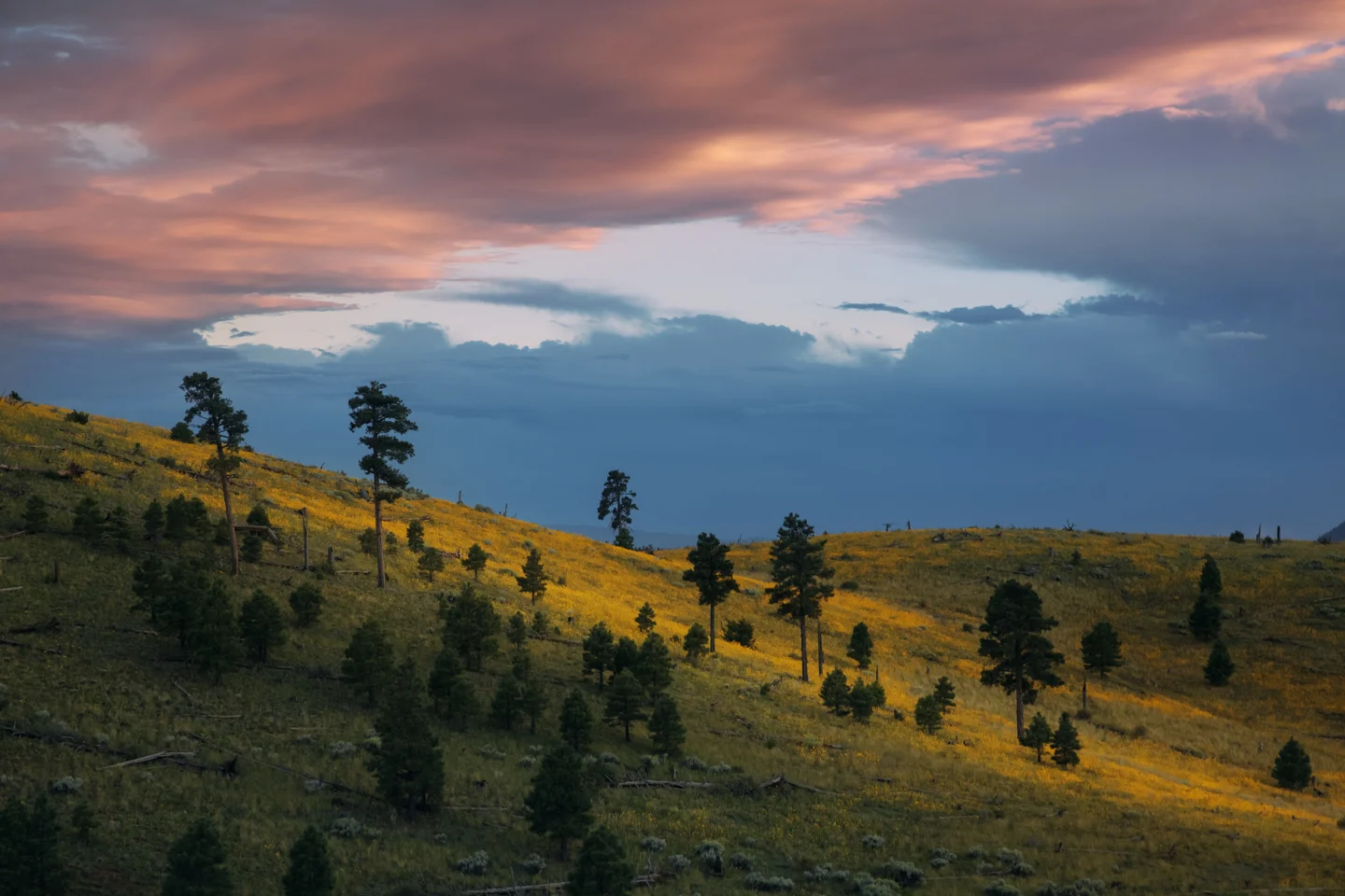 Arizona landscape photographer flagstaff