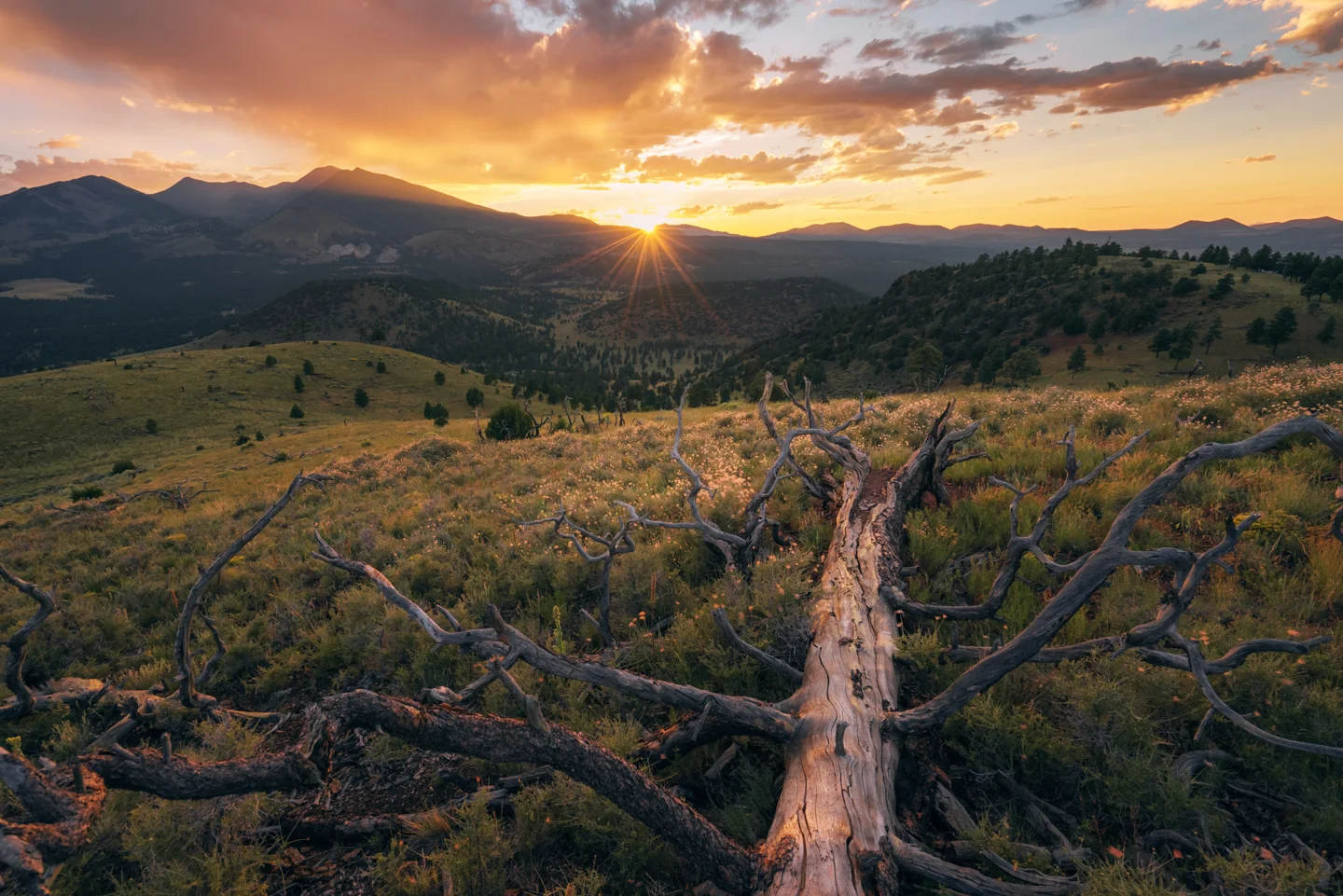 Arizona Landscape Photographer