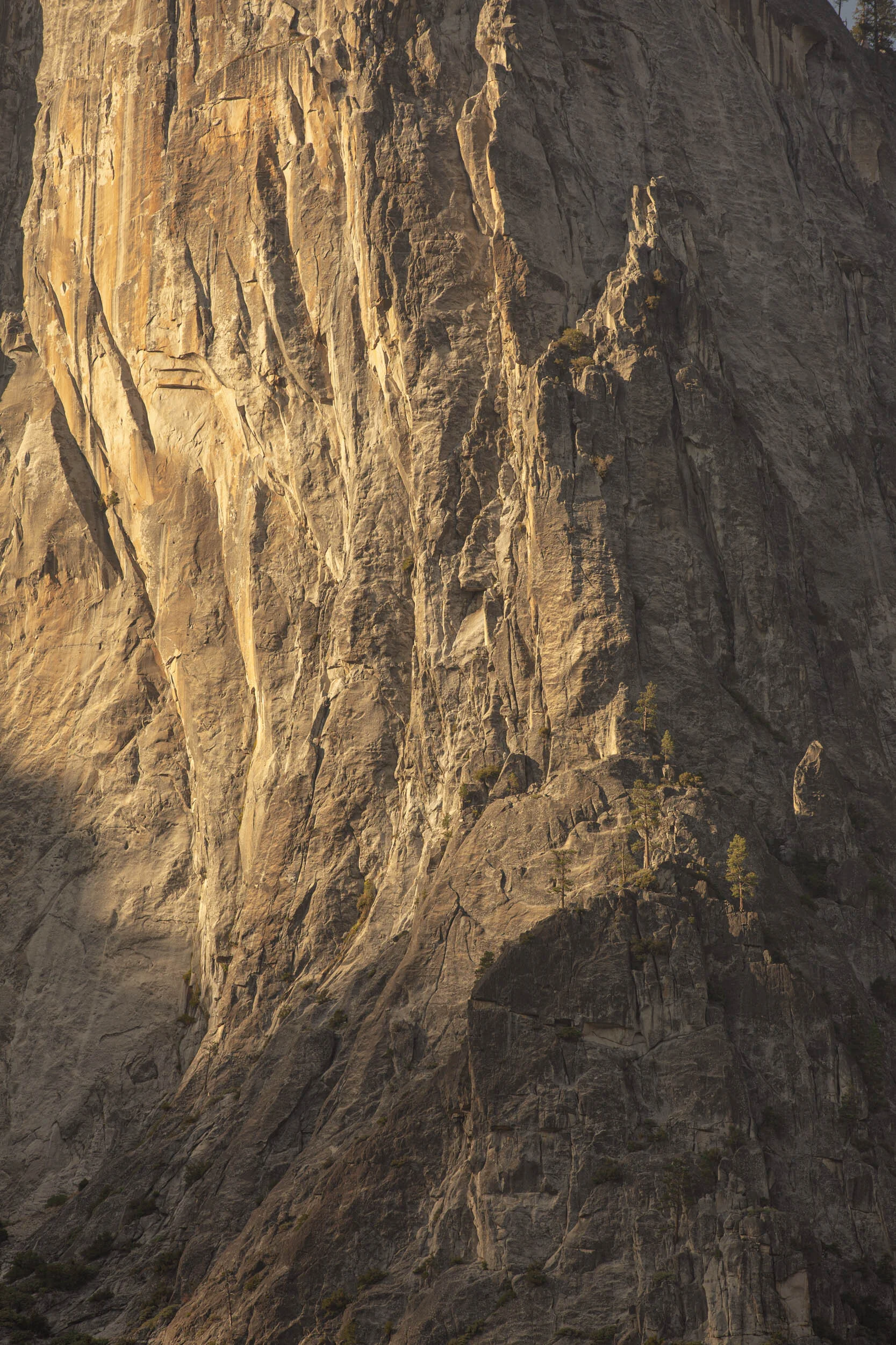 Arizona Outdoor photographer