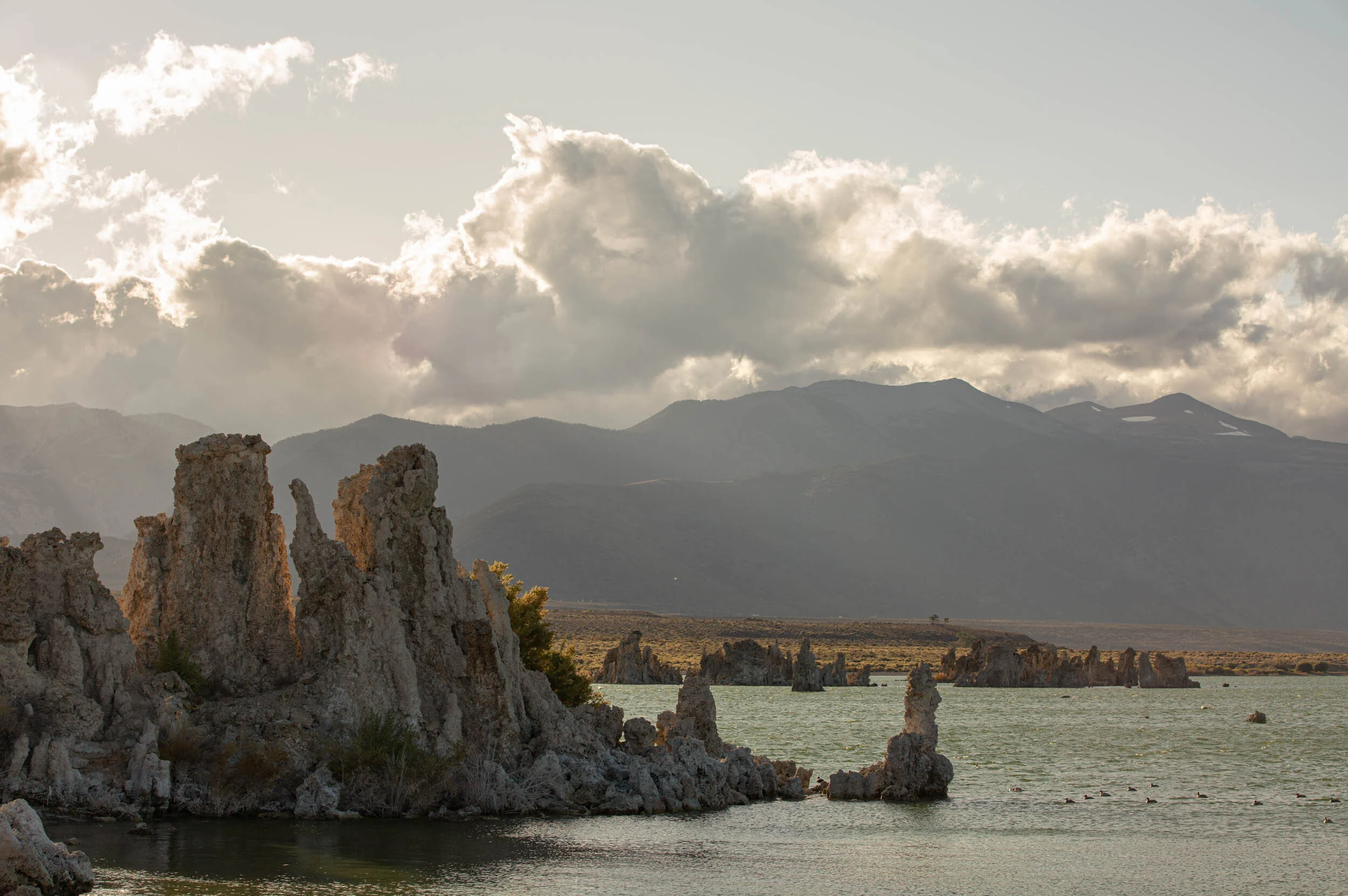 Arizona Outdoor photographer