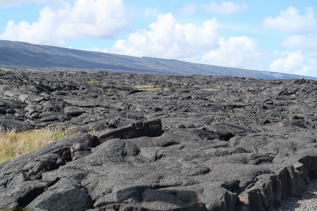 An ocean of lava rock