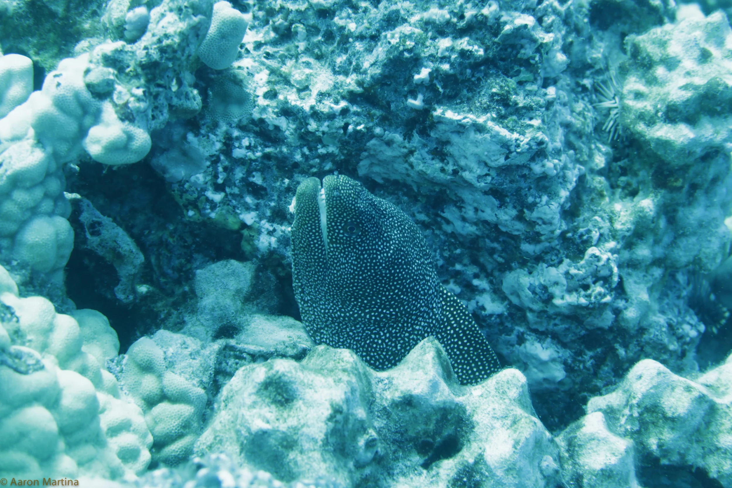 IMG_0523.jpg