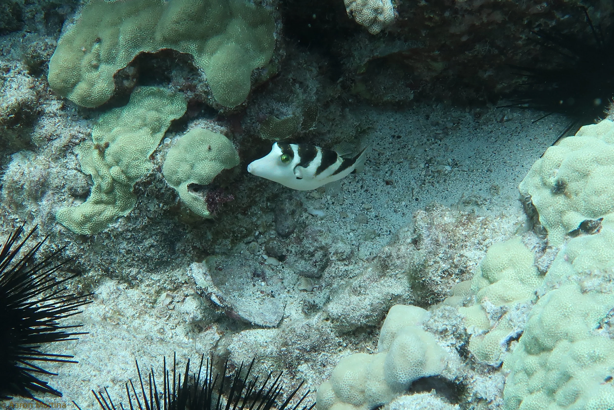 IMG_1246.jpg