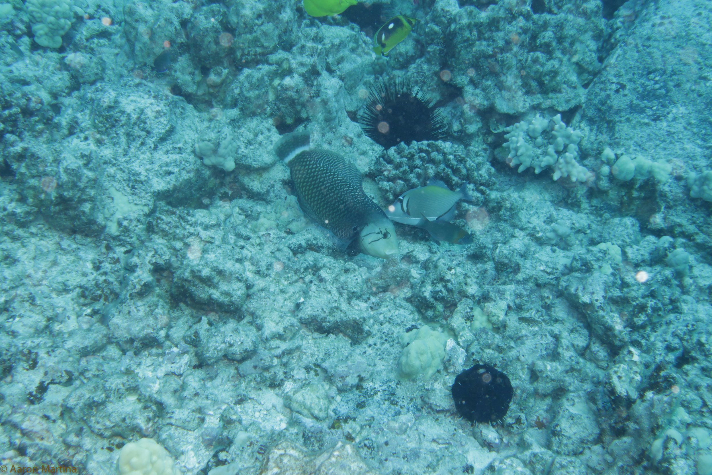 IMG_0639.jpg